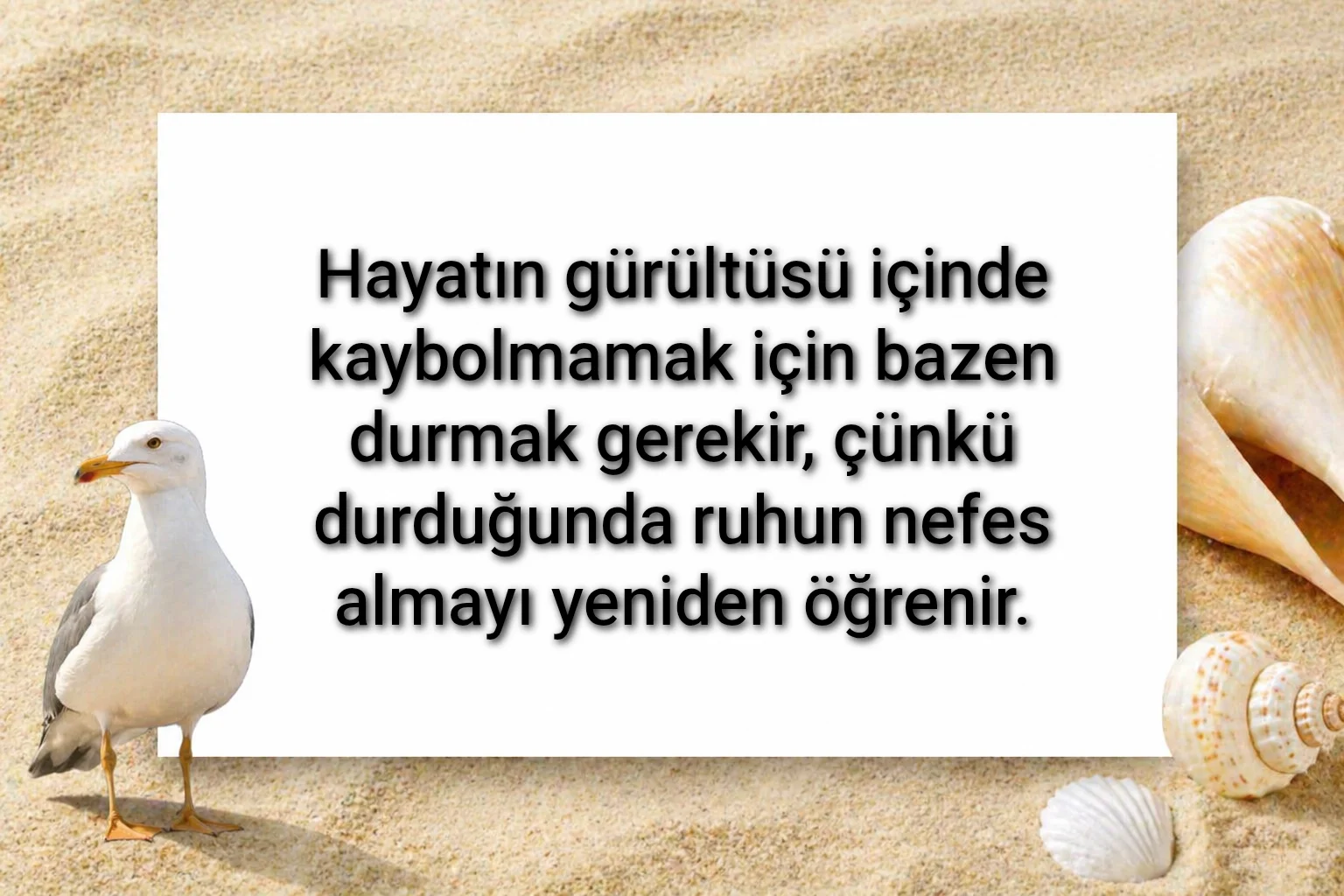 tunanova, sözsepeti,en güzel sözler,aşkım, bitanem, canım, dünyam, efulim, fısftığım, gülüm, hayatım, herşeyim, ilkim, iyikim, kalbim, limanım, meleğim, nartanem, ömrüm, papatyam, sevdiceğim, sevdam, tutkum, ülkem, memleketim, yuvam,yavrum , zümrüdüm, sana aşığım, iyiki varsın, iyiki benimsin seni seviyorum, aşk sözleri, aşk resmi, romantik sevgi mesajı, çiftler için duygusal anlamlı uzun güzel sözler görseli