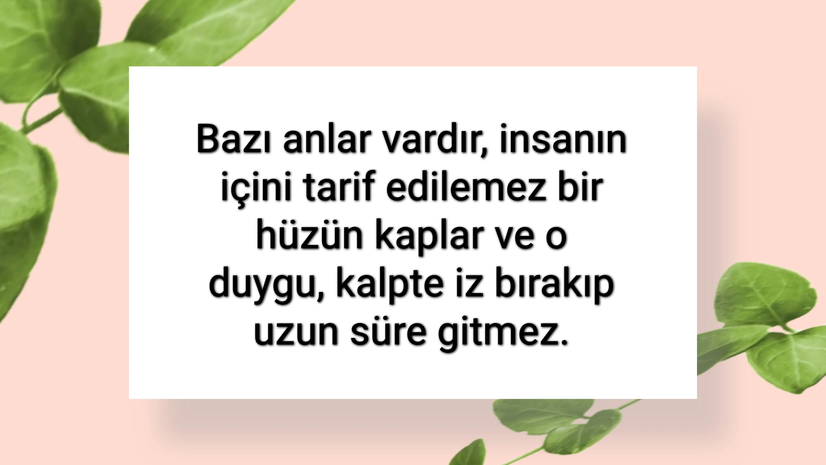 tunanova, sözsepeti,en güzel sözler,aşkım, bitanem, canım, dünyam, efulim, fısftığım, gülüm, hayatım, herşeyim, ilkim, iyikim, kalbim, limanım, meleğim, nartanem, ömrüm, papatyam, sevdiceğim, sevdam, tutkum, ülkem, memleketim, yuvam,yavrum , zümrüdüm, sana aşığım, iyiki varsın, iyiki benimsin seni seviyorum, aşk sözleri, aşk resmi, romantik sevgi mesajı, çiftler için duygusal anlamlı uzun güzel sözler görseli