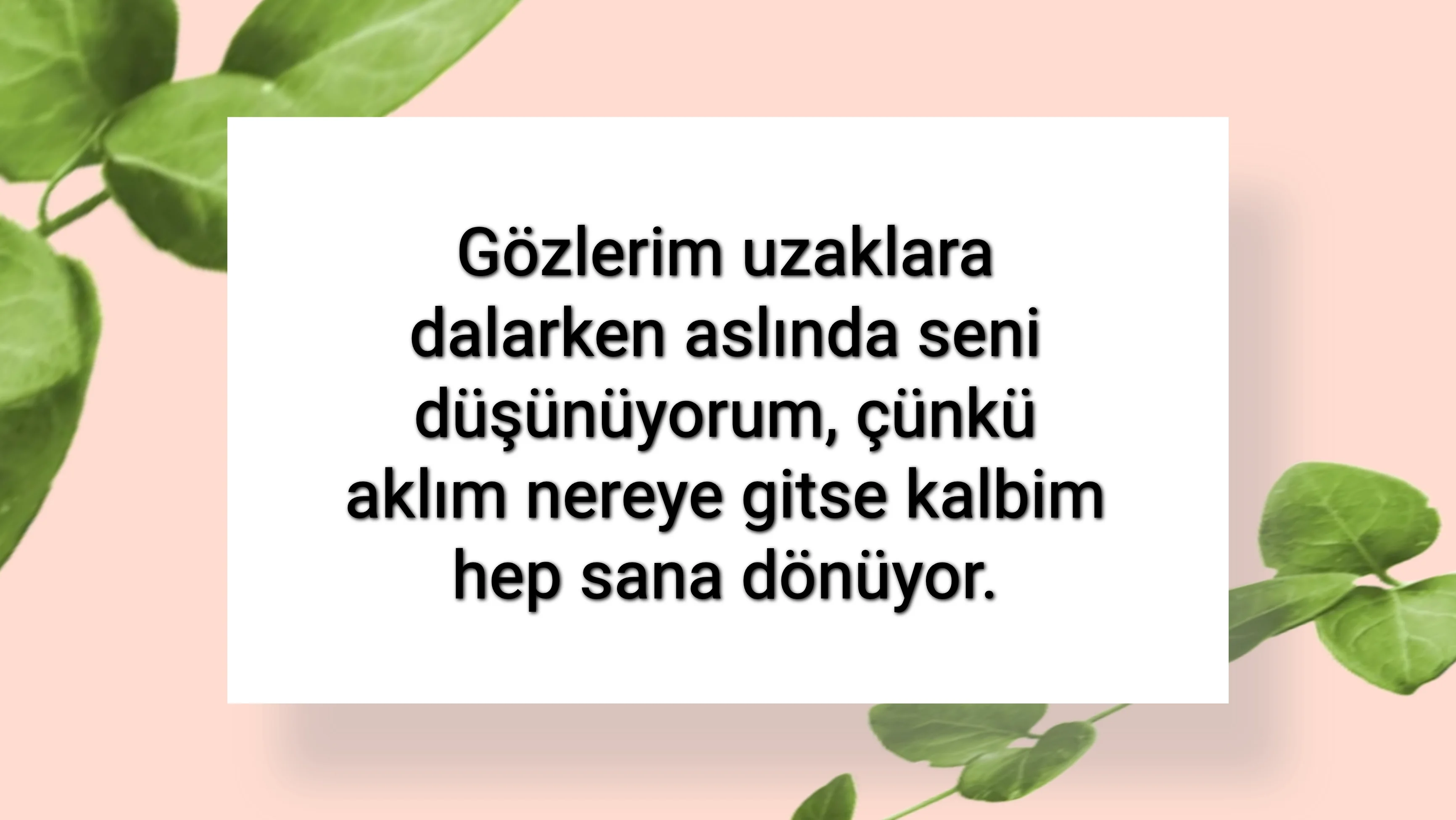 tunanova, sözsepeti,en güzel sözler,aşkım, bitanem, canım, dünyam, efulim, fısftığım, gülüm, hayatım, herşeyim, ilkim, iyikim, kalbim, limanım, meleğim, nartanem, ömrüm, papatyam, sevdiceğim, sevdam, tutkum, ülkem, memleketim, yuvam,yavrum , zümrüdüm, sana aşığım, iyiki varsın, iyiki benimsin seni seviyorum, aşk sözleri, aşk resmi, romantik sevgi mesajı, çiftler için duygusal anlamlı uzun güzel sözler görseli