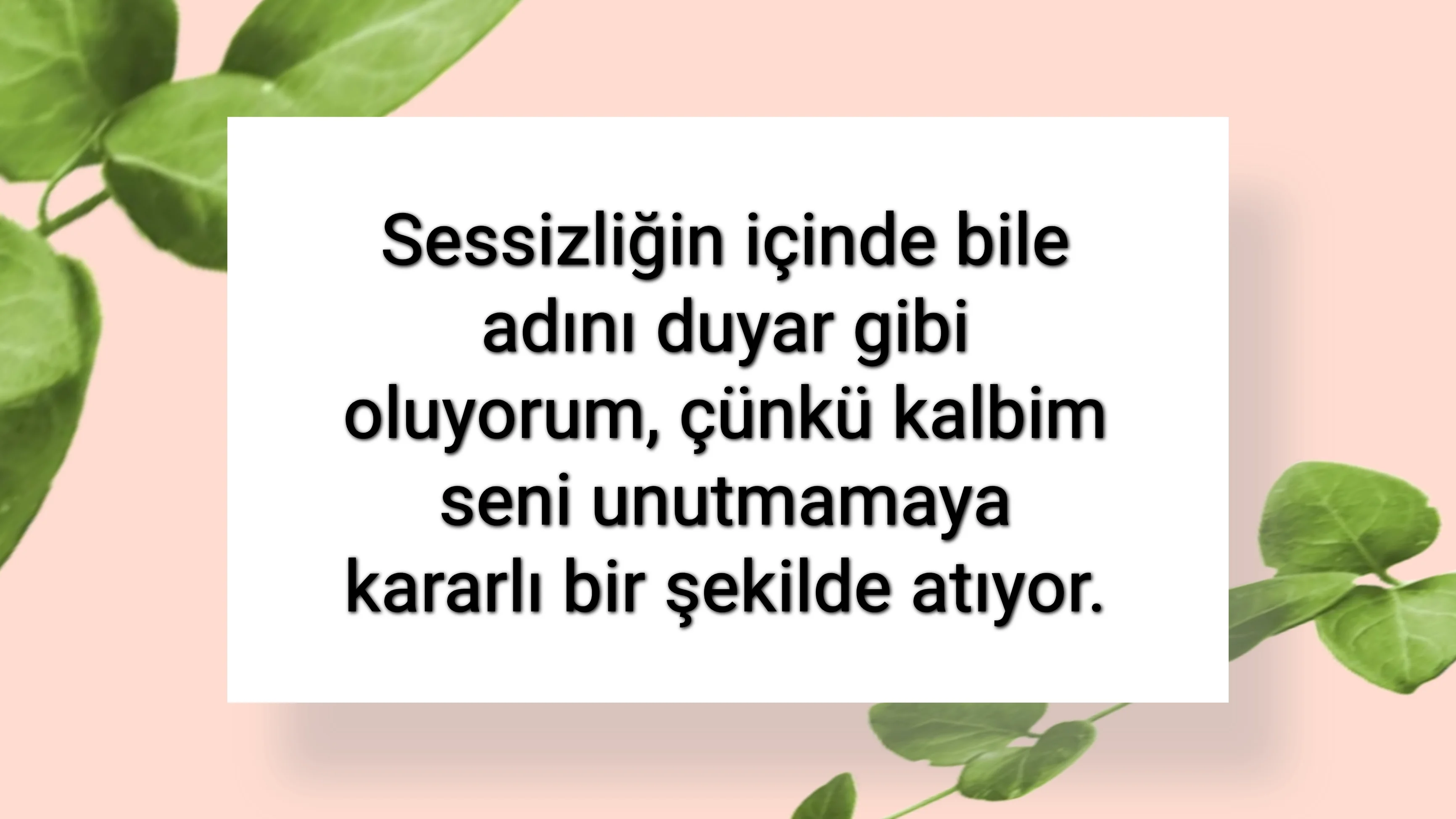 tunanova, sözsepeti,en güzel sözler,aşkım, bitanem, canım, dünyam, efulim, fısftığım, gülüm, hayatım, herşeyim, ilkim, iyikim, kalbim, limanım, meleğim, nartanem, ömrüm, papatyam, sevdiceğim, sevdam, tutkum, ülkem, memleketim, yuvam,yavrum , zümrüdüm, sana aşığım, iyiki varsın, iyiki benimsin seni seviyorum, aşk sözleri, aşk resmi, romantik sevgi mesajı, çiftler için duygusal anlamlı uzun güzel sözler görseli