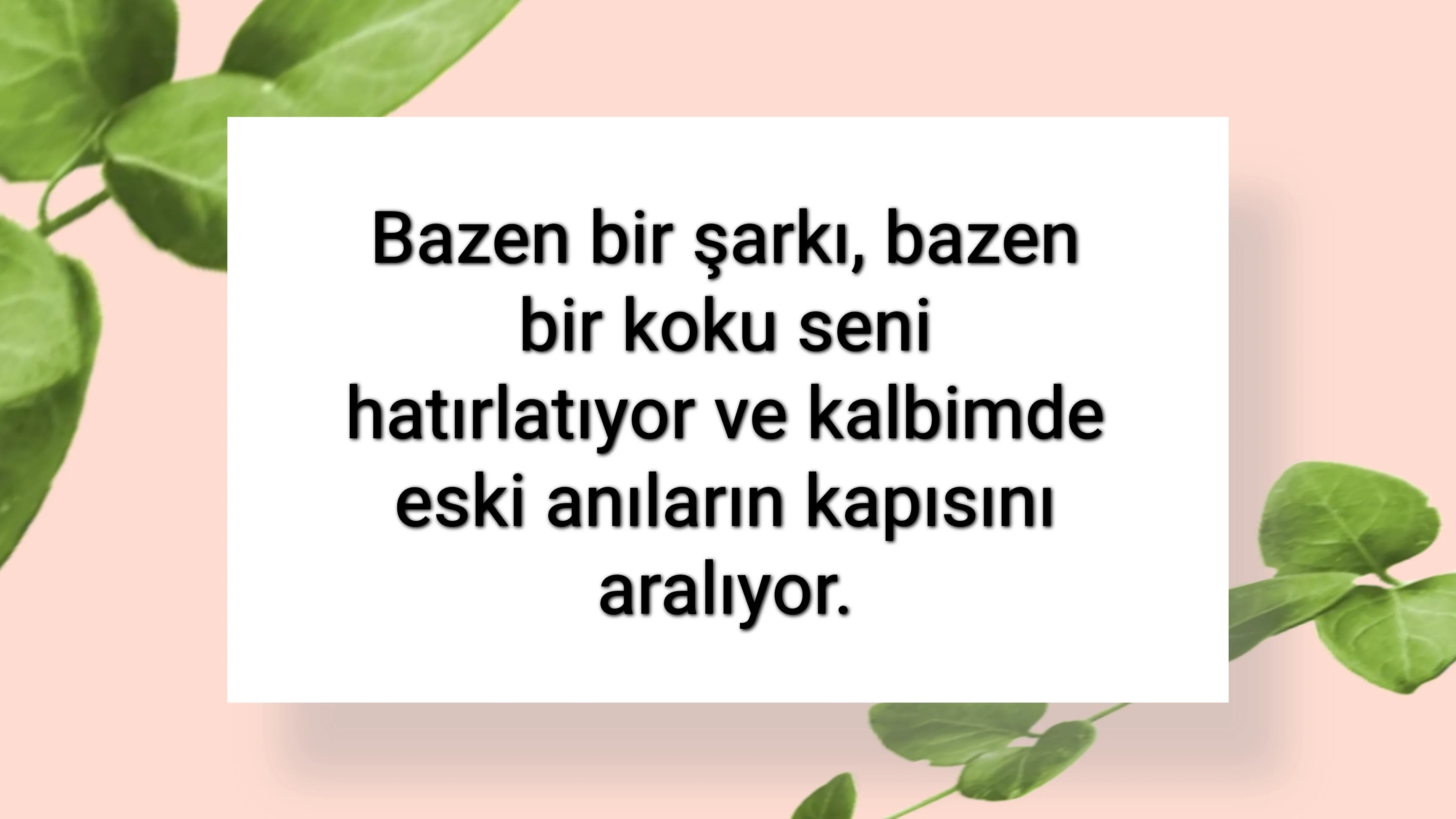 tunanova, sözsepeti,en güzel sözler,aşkım, bitanem, canım, dünyam, efulim, fısftığım, gülüm, hayatım, herşeyim, ilkim, iyikim, kalbim, limanım, meleğim, nartanem, ömrüm, papatyam, sevdiceğim, sevdam, tutkum, ülkem, memleketim, yuvam,yavrum , zümrüdüm, sana aşığım, iyiki varsın, iyiki benimsin seni seviyorum, aşk sözleri, aşk resmi, romantik sevgi mesajı, çiftler için duygusal anlamlı uzun güzel sözler görseli