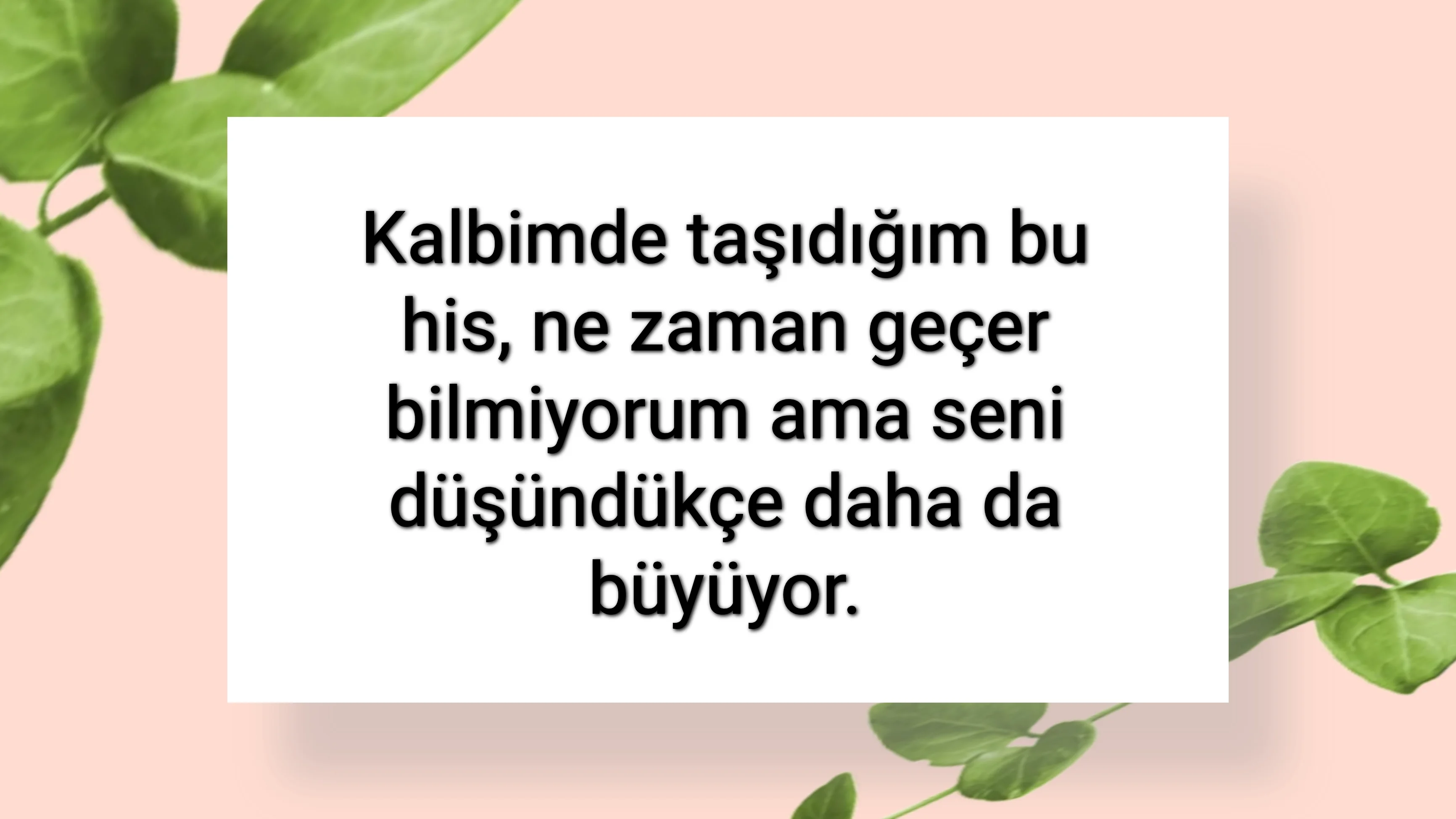 tunanova, sözsepeti,en güzel sözler,aşkım, bitanem, canım, dünyam, efulim, fısftığım, gülüm, hayatım, herşeyim, ilkim, iyikim, kalbim, limanım, meleğim, nartanem, ömrüm, papatyam, sevdiceğim, sevdam, tutkum, ülkem, memleketim, yuvam,yavrum , zümrüdüm, sana aşığım, iyiki varsın, iyiki benimsin seni seviyorum, aşk sözleri, aşk resmi, romantik sevgi mesajı, çiftler için duygusal anlamlı uzun güzel sözler görseli