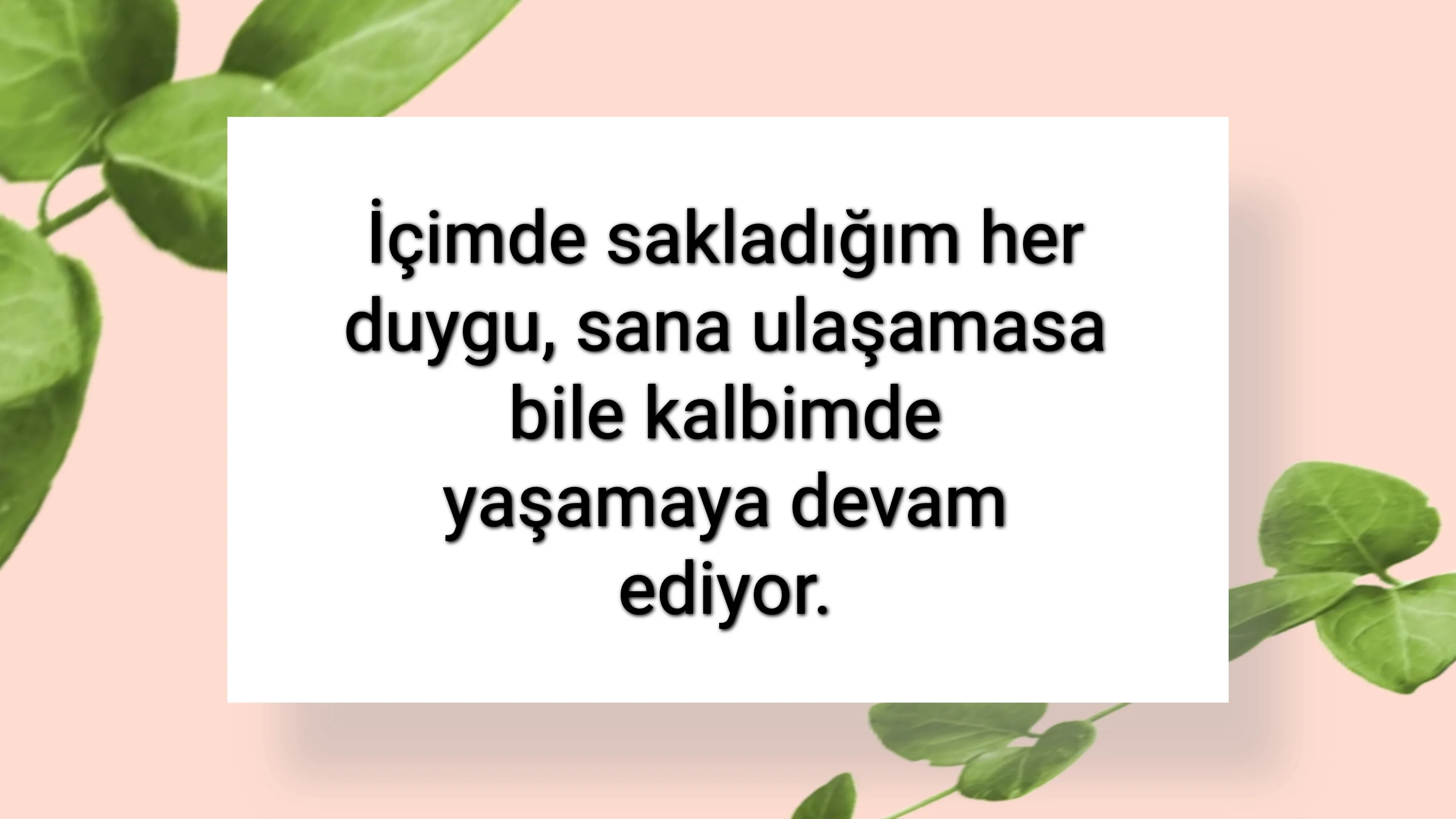 tunanova, sözsepeti,en güzel sözler,aşkım, bitanem, canım, dünyam, efulim, fısftığım, gülüm, hayatım, herşeyim, ilkim, iyikim, kalbim, limanım, meleğim, nartanem, ömrüm, papatyam, sevdiceğim, sevdam, tutkum, ülkem, memleketim, yuvam,yavrum , zümrüdüm, sana aşığım, iyiki varsın, iyiki benimsin seni seviyorum, aşk sözleri, aşk resmi, romantik sevgi mesajı, çiftler için duygusal anlamlı uzun güzel sözler görseli