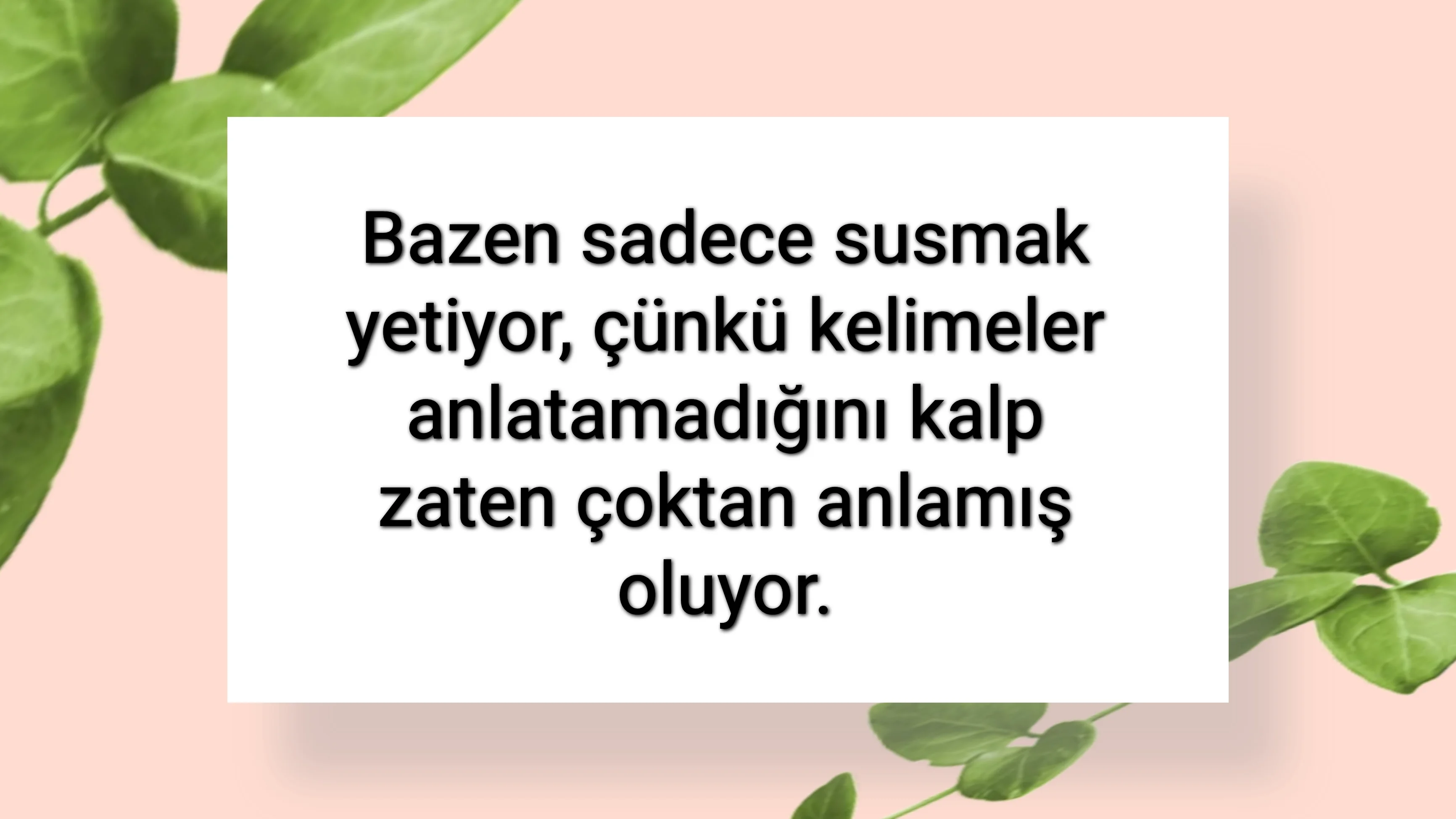tunanova, sözsepeti,en güzel sözler,aşkım, bitanem, canım, dünyam, efulim, fısftığım, gülüm, hayatım, herşeyim, ilkim, iyikim, kalbim, limanım, meleğim, nartanem, ömrüm, papatyam, sevdiceğim, sevdam, tutkum, ülkem, memleketim, yuvam,yavrum , zümrüdüm, sana aşığım, iyiki varsın, iyiki benimsin seni seviyorum, aşk sözleri, aşk resmi, romantik sevgi mesajı, çiftler için duygusal anlamlı uzun güzel sözler görseli