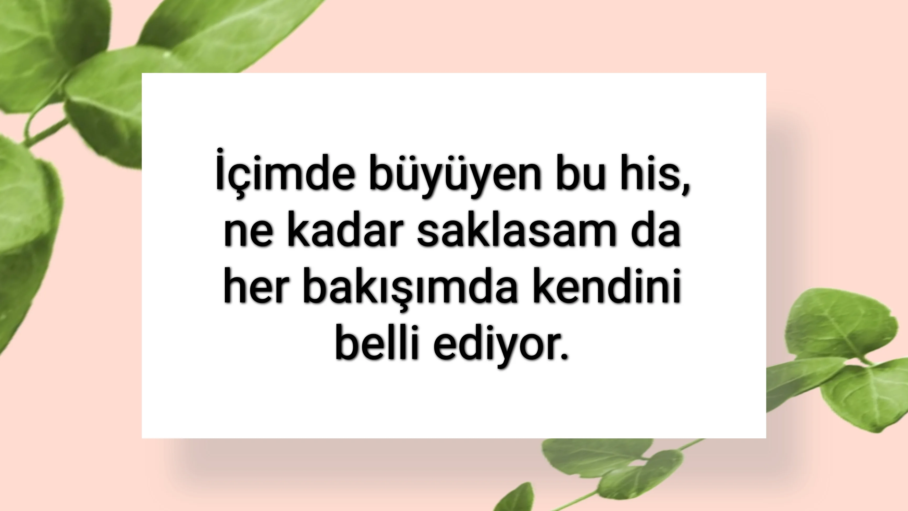 tunanova, sözsepeti,en güzel sözler,aşkım, bitanem, canım, dünyam, efulim, fısftığım, gülüm, hayatım, herşeyim, ilkim, iyikim, kalbim, limanım, meleğim, nartanem, ömrüm, papatyam, sevdiceğim, sevdam, tutkum, ülkem, memleketim, yuvam,yavrum , zümrüdüm, sana aşığım, iyiki varsın, iyiki benimsin seni seviyorum, aşk sözleri, aşk resmi, romantik sevgi mesajı, çiftler için duygusal anlamlı uzun güzel sözler görseli