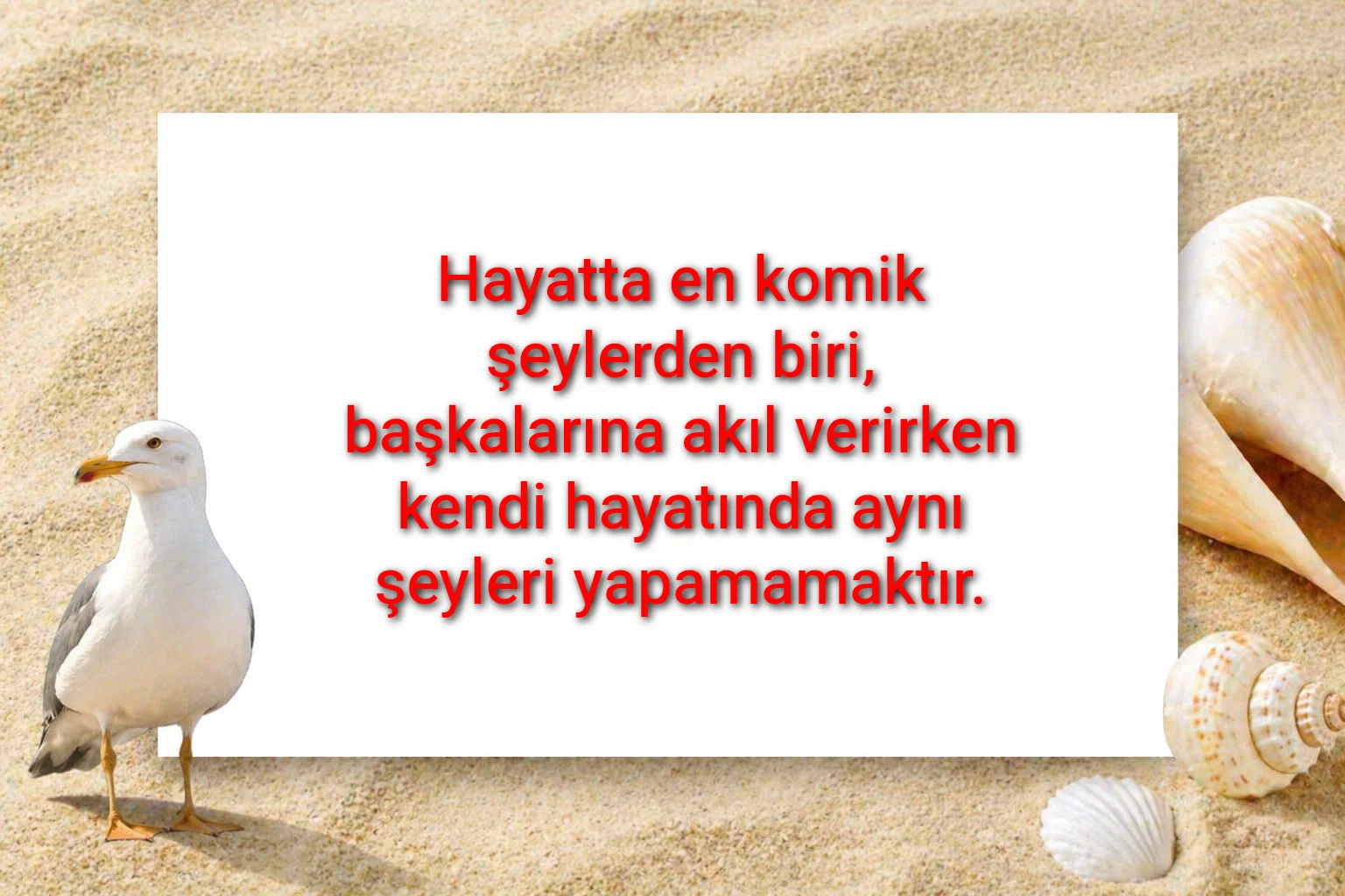 tunanova, sözsepeti,en güzel sözler,aşkım, bitanem, canım, dünyam, efulim, fısftığım, gülüm, hayatım, herşeyim, ilkim, iyikim, kalbim, limanım, meleğim, nartanem, ömrüm, papatyam, sevdiceğim, sevdam, tutkum, ülkem, memleketim, yuvam,yavrum , zümrüdüm, sana aşığım, iyiki varsın, iyiki benimsin seni seviyorum, aşk sözleri, aşk resmi, romantik sevgi mesajı, çiftler için duygusal anlamlı uzun güzel sözler görseli