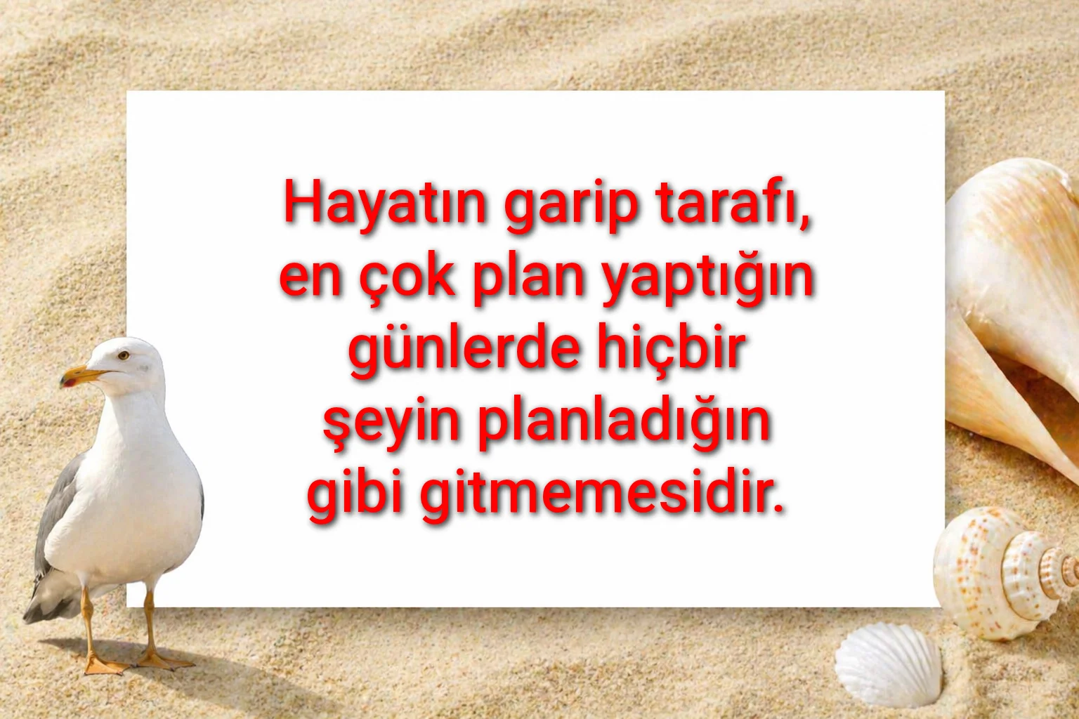 tunanova, sözsepeti,en güzel sözler,aşkım, bitanem, canım, dünyam, efulim, fısftığım, gülüm, hayatım, herşeyim, ilkim, iyikim, kalbim, limanım, meleğim, nartanem, ömrüm, papatyam, sevdiceğim, sevdam, tutkum, ülkem, memleketim, yuvam,yavrum , zümrüdüm, sana aşığım, iyiki varsın, iyiki benimsin seni seviyorum, aşk sözleri, aşk resmi, romantik sevgi mesajı, çiftler için duygusal anlamlı uzun güzel sözler görseli