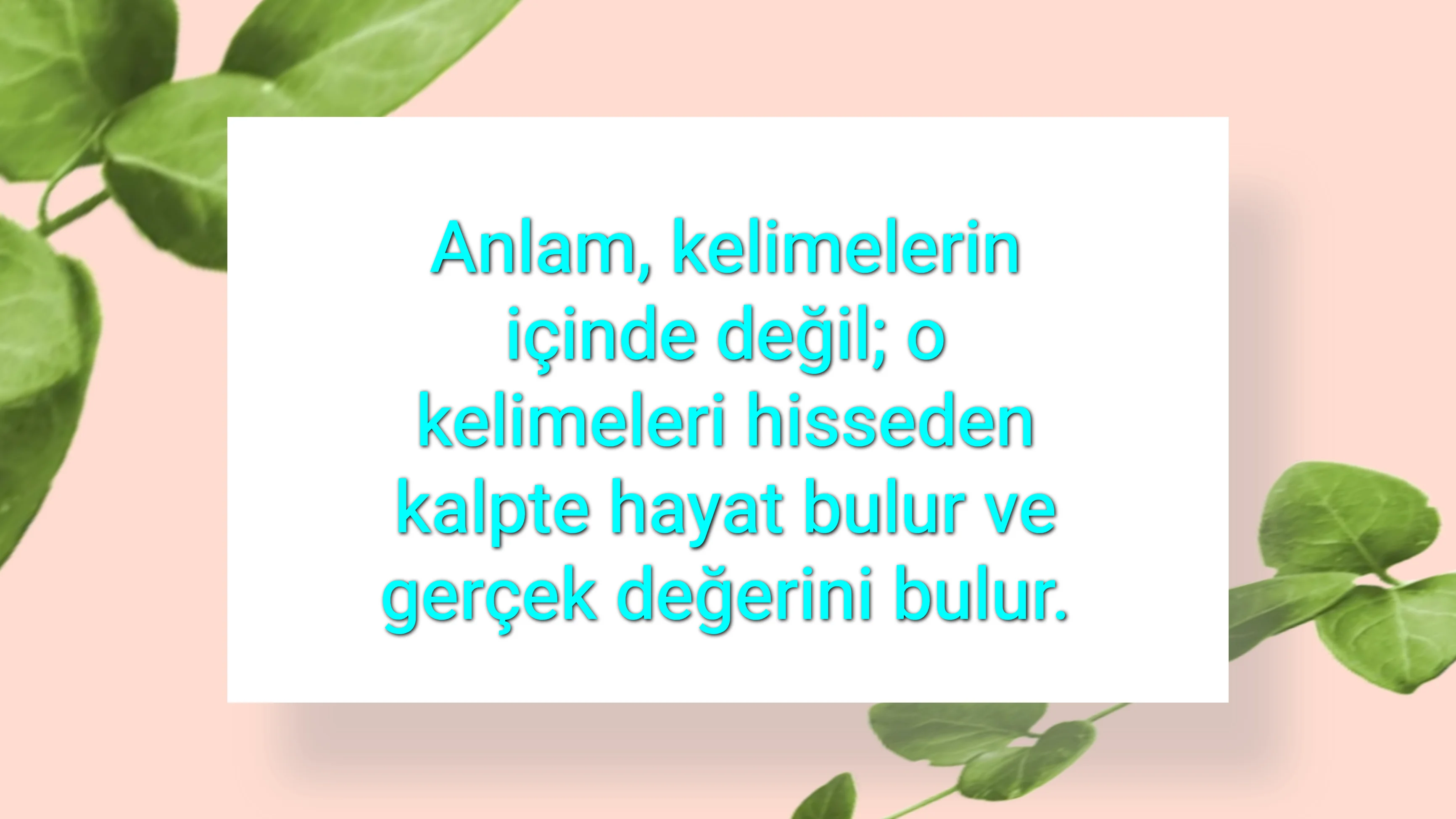tunanova, sözsepeti,en güzel sözler,aşkım, bitanem, canım, dünyam, efulim, fısftığım, gülüm, hayatım, herşeyim, ilkim, iyikim, kalbim, limanım, meleğim, nartanem, ömrüm, papatyam, sevdiceğim, sevdam, tutkum, ülkem, memleketim, yuvam,yavrum , zümrüdüm, sana aşığım, iyiki varsın, iyiki benimsin seni seviyorum, aşk sözleri, aşk resmi, romantik sevgi mesajı, çiftler için duygusal anlamlı uzun güzel sözler görseli