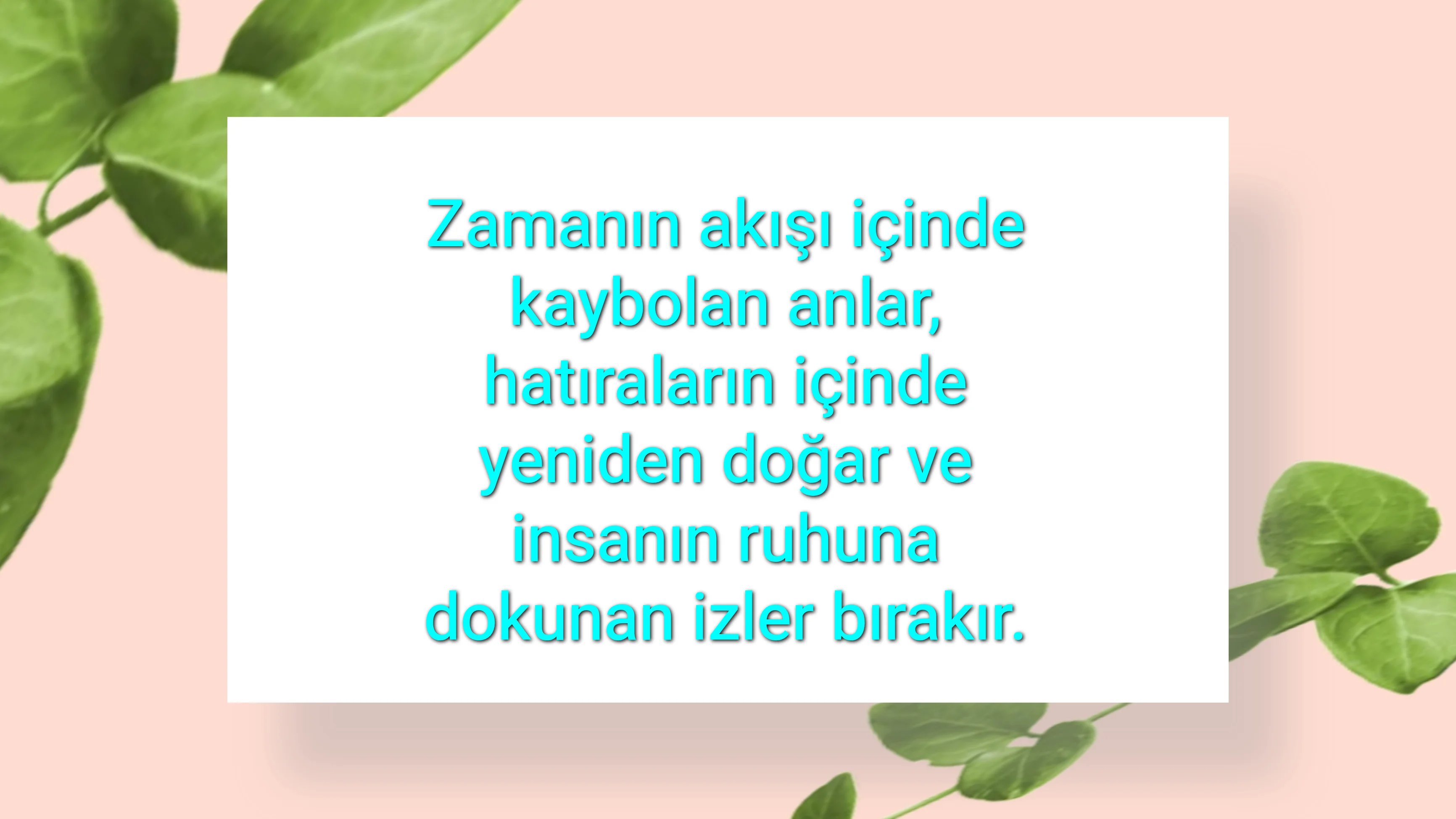 tunanova, sözsepeti,en güzel sözler,aşkım, bitanem, canım, dünyam, efulim, fısftığım, gülüm, hayatım, herşeyim, ilkim, iyikim, kalbim, limanım, meleğim, nartanem, ömrüm, papatyam, sevdiceğim, sevdam, tutkum, ülkem, memleketim, yuvam,yavrum , zümrüdüm, sana aşığım, iyiki varsın, iyiki benimsin seni seviyorum, aşk sözleri, aşk resmi, romantik sevgi mesajı, çiftler için duygusal anlamlı uzun güzel sözler görseli