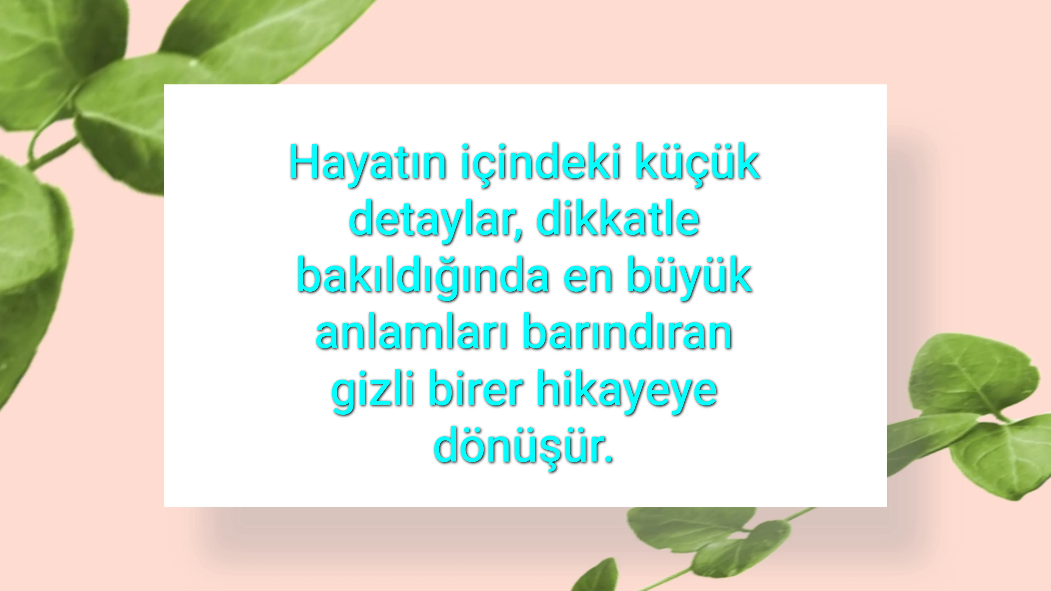 tunanova, sözsepeti,en güzel sözler,aşkım, bitanem, canım, dünyam, efulim, fısftığım, gülüm, hayatım, herşeyim, ilkim, iyikim, kalbim, limanım, meleğim, nartanem, ömrüm, papatyam, sevdiceğim, sevdam, tutkum, ülkem, memleketim, yuvam,yavrum , zümrüdüm, sana aşığım, iyiki varsın, iyiki benimsin seni seviyorum, aşk sözleri, aşk resmi, romantik sevgi mesajı, çiftler için duygusal anlamlı uzun güzel sözler görseli