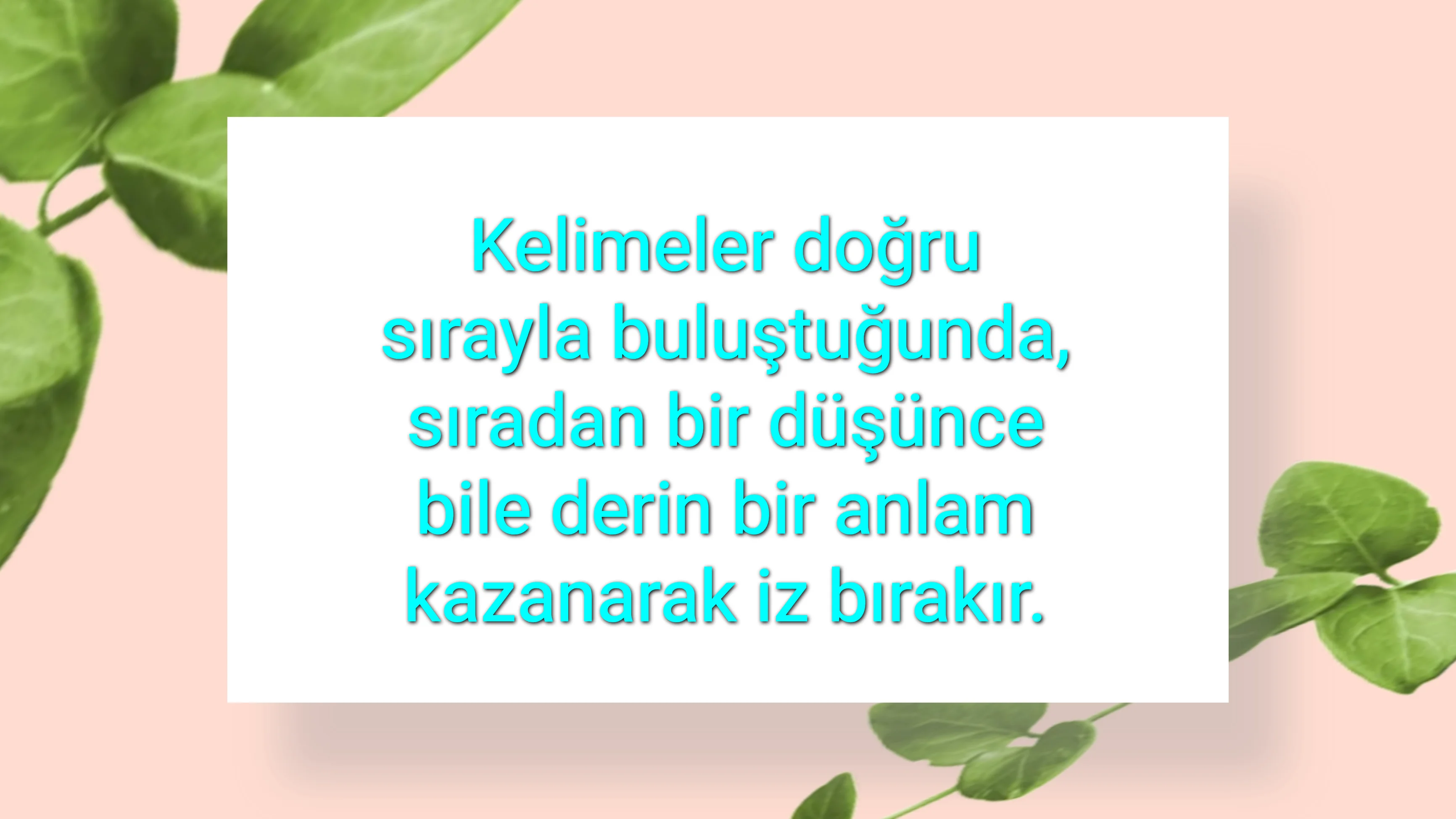 tunanova, sözsepeti,en güzel sözler,aşkım, bitanem, canım, dünyam, efulim, fısftığım, gülüm, hayatım, herşeyim, ilkim, iyikim, kalbim, limanım, meleğim, nartanem, ömrüm, papatyam, sevdiceğim, sevdam, tutkum, ülkem, memleketim, yuvam,yavrum , zümrüdüm, sana aşığım, iyiki varsın, iyiki benimsin seni seviyorum, aşk sözleri, aşk resmi, romantik sevgi mesajı, çiftler için duygusal anlamlı uzun güzel sözler görseli