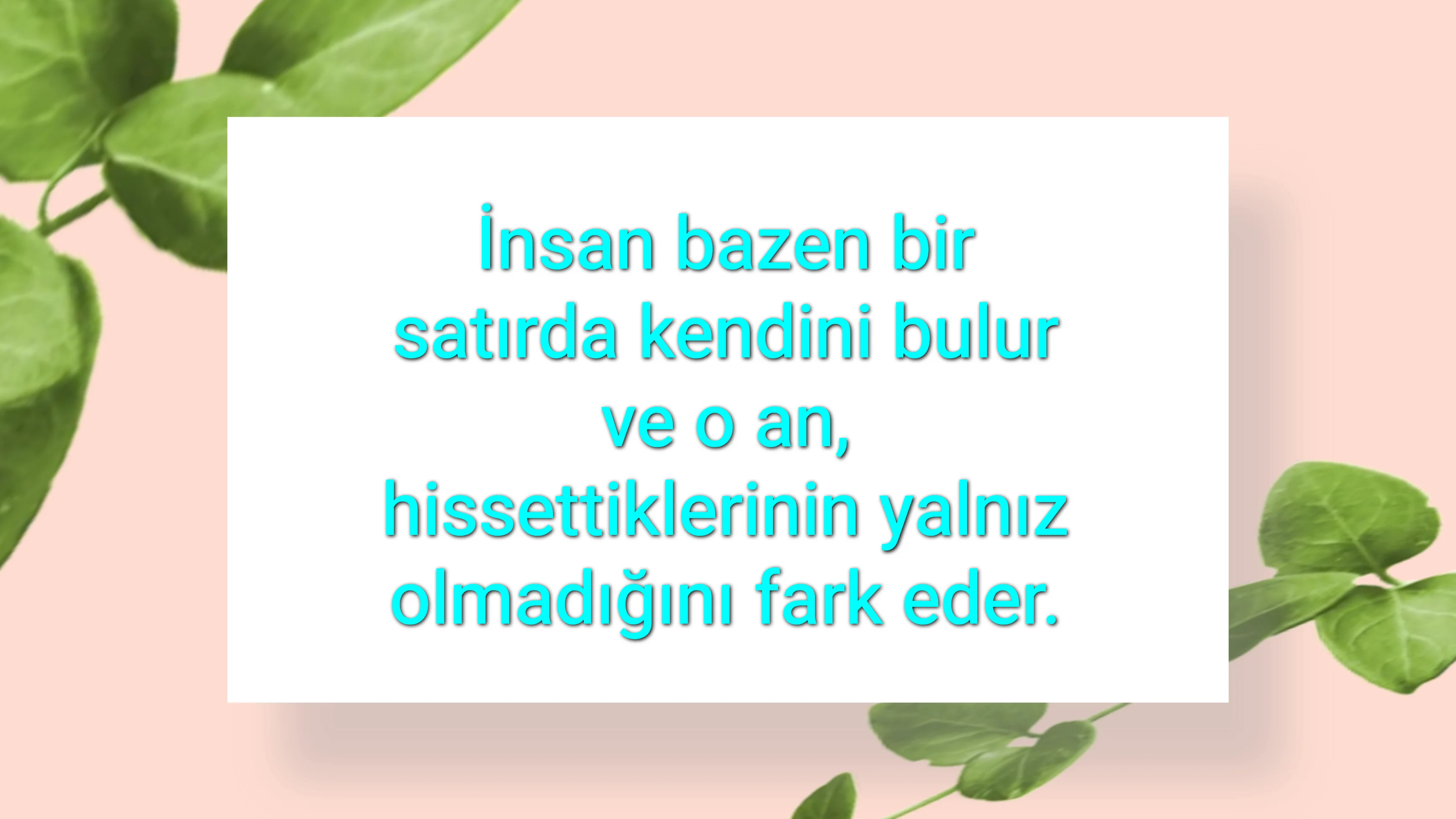 tunanova, sözsepeti,en güzel sözler,aşkım, bitanem, canım, dünyam, efulim, fısftığım, gülüm, hayatım, herşeyim, ilkim, iyikim, kalbim, limanım, meleğim, nartanem, ömrüm, papatyam, sevdiceğim, sevdam, tutkum, ülkem, memleketim, yuvam,yavrum , zümrüdüm, sana aşığım, iyiki varsın, iyiki benimsin seni seviyorum, aşk sözleri, aşk resmi, romantik sevgi mesajı, çiftler için duygusal anlamlı uzun güzel sözler görseli