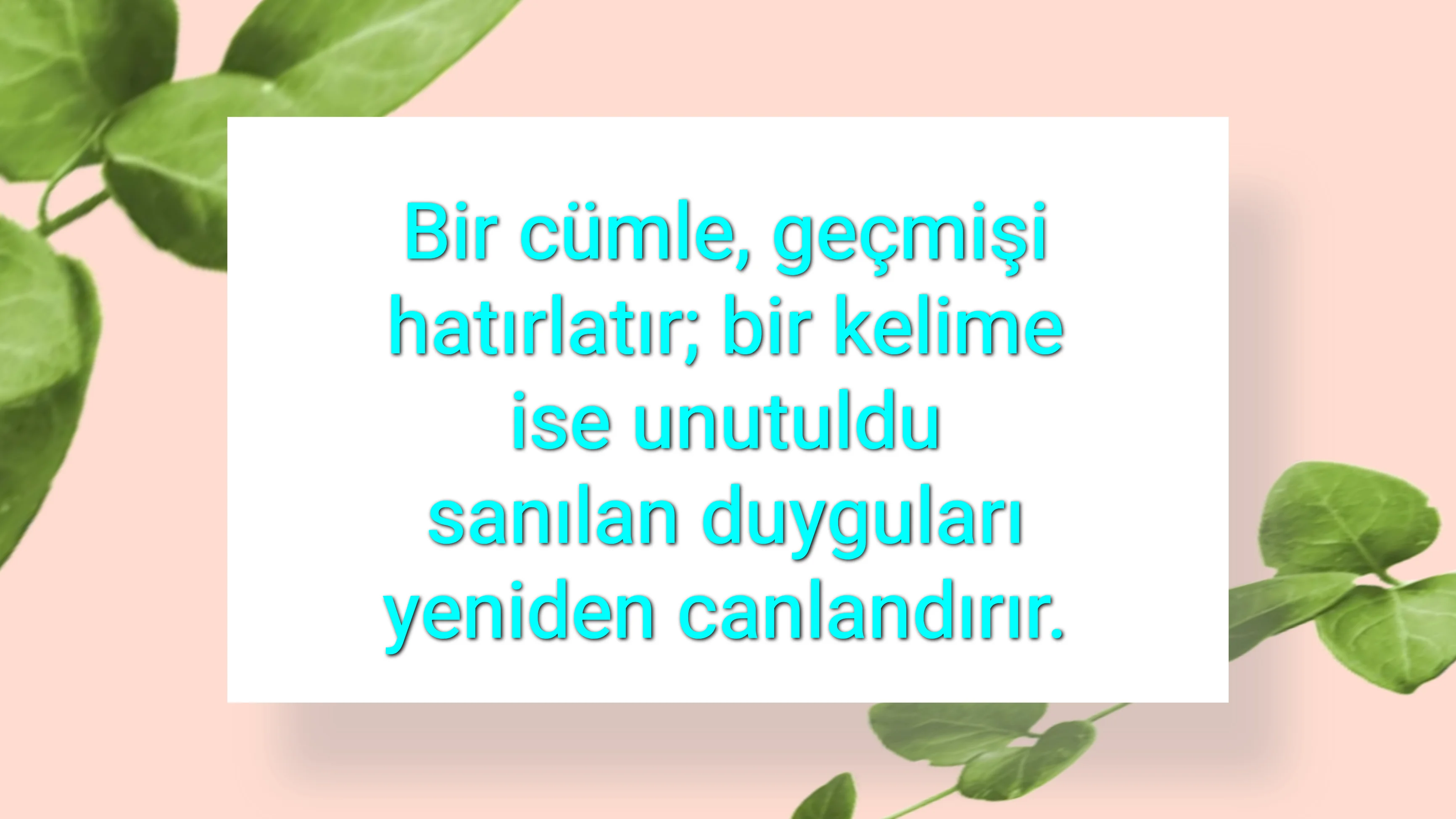 tunanova, sözsepeti,en güzel sözler,aşkım, bitanem, canım, dünyam, efulim, fısftığım, gülüm, hayatım, herşeyim, ilkim, iyikim, kalbim, limanım, meleğim, nartanem, ömrüm, papatyam, sevdiceğim, sevdam, tutkum, ülkem, memleketim, yuvam,yavrum , zümrüdüm, sana aşığım, iyiki varsın, iyiki benimsin seni seviyorum, aşk sözleri, aşk resmi, romantik sevgi mesajı, çiftler için duygusal anlamlı uzun güzel sözler görseli