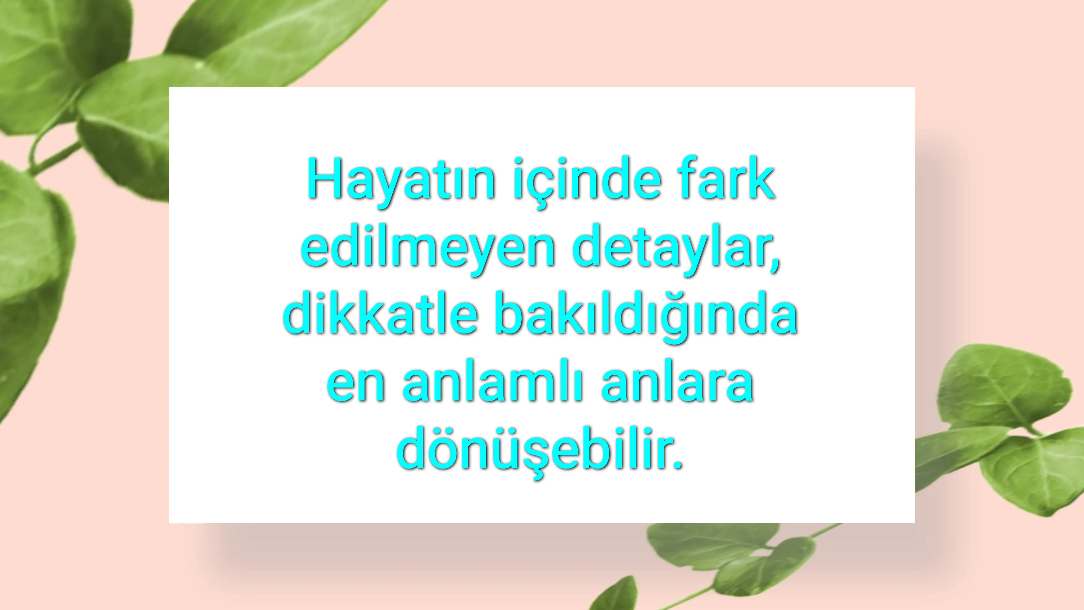 tunanova, sözsepeti,en güzel sözler,aşkım, bitanem, canım, dünyam, efulim, fısftığım, gülüm, hayatım, herşeyim, ilkim, iyikim, kalbim, limanım, meleğim, nartanem, ömrüm, papatyam, sevdiceğim, sevdam, tutkum, ülkem, memleketim, yuvam,yavrum , zümrüdüm, sana aşığım, iyiki varsın, iyiki benimsin seni seviyorum, aşk sözleri, aşk resmi, romantik sevgi mesajı, çiftler için duygusal anlamlı uzun güzel sözler görseli
