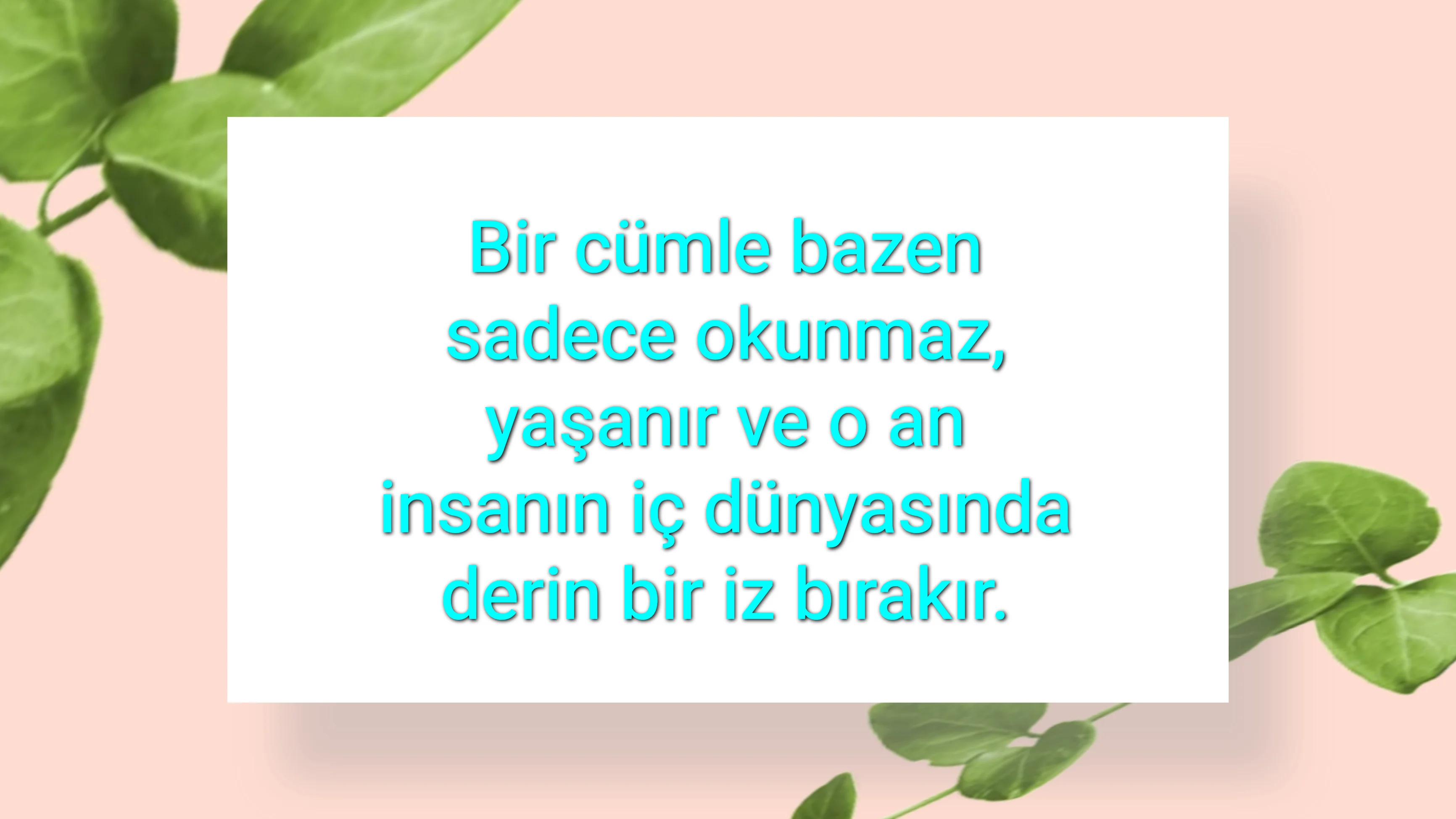 tunanova, sözsepeti,en güzel sözler,aşkım, bitanem, canım, dünyam, efulim, fısftığım, gülüm, hayatım, herşeyim, ilkim, iyikim, kalbim, limanım, meleğim, nartanem, ömrüm, papatyam, sevdiceğim, sevdam, tutkum, ülkem, memleketim, yuvam,yavrum , zümrüdüm, sana aşığım, iyiki varsın, iyiki benimsin seni seviyorum, aşk sözleri, aşk resmi, romantik sevgi mesajı, çiftler için duygusal anlamlı uzun güzel sözler görseli