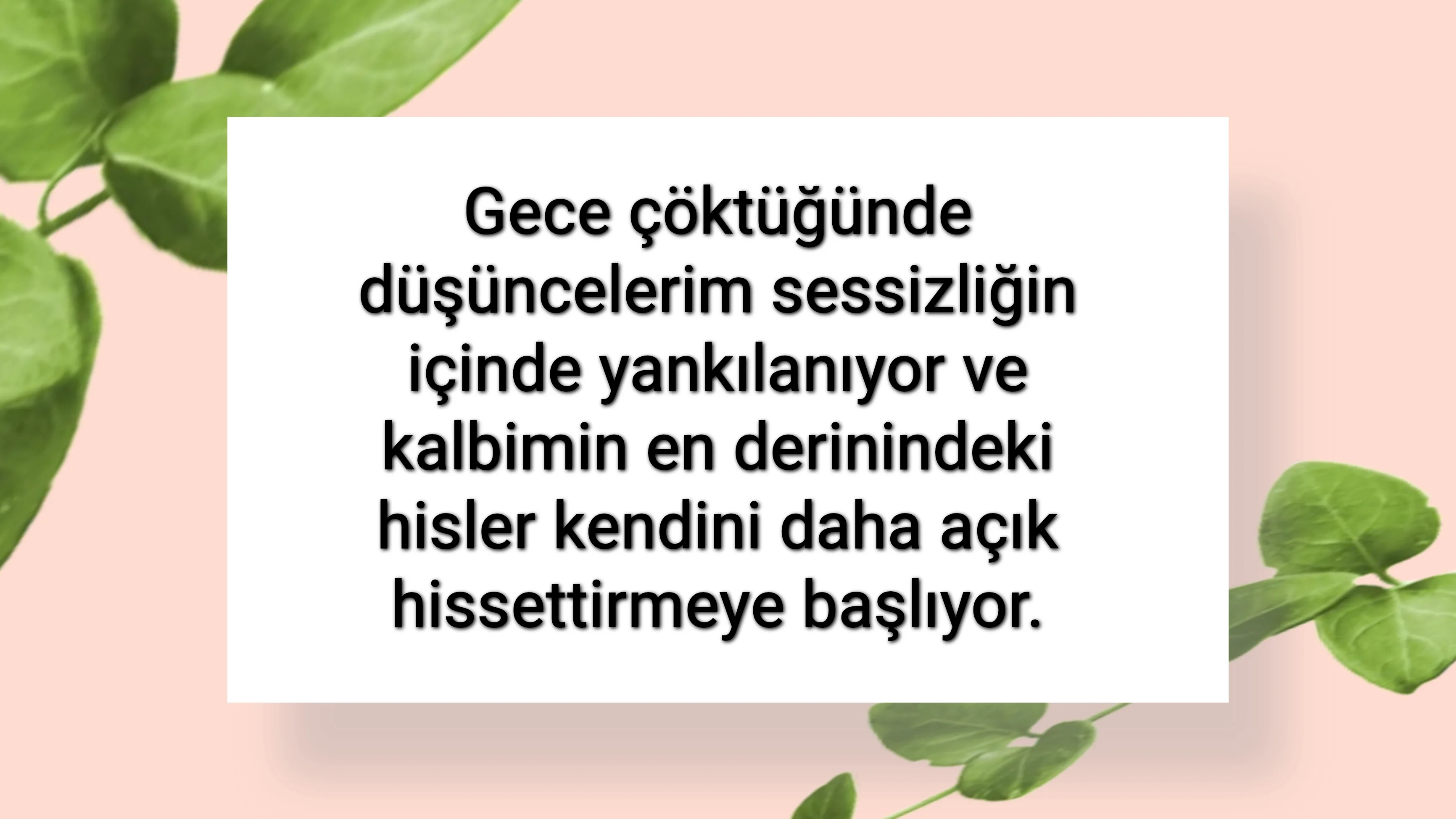 tunanova, sözsepeti,en güzel sözler,aşkım, bitanem, canım, dünyam, efulim, fısftığım, gülüm, hayatım, herşeyim, ilkim, iyikim, kalbim, limanım, meleğim, nartanem, ömrüm, papatyam, sevdiceğim, sevdam, tutkum, ülkem, memleketim, yuvam,yavrum , zümrüdüm, sana aşığım, iyiki varsın, iyiki benimsin seni seviyorum, aşk sözleri, aşk resmi, romantik sevgi mesajı, çiftler için duygusal anlamlı uzun güzel sözler görseli