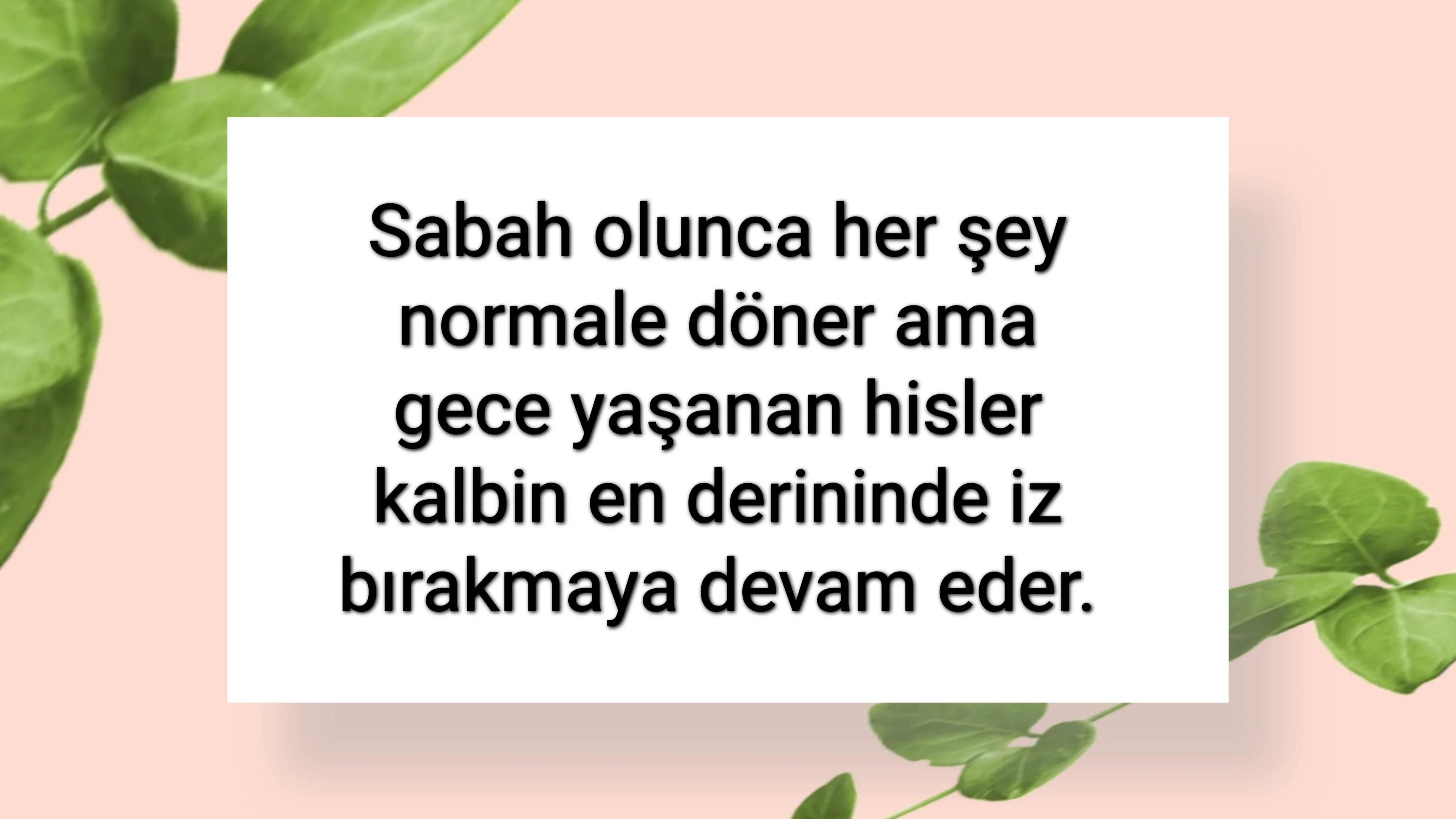 tunanova, sözsepeti,en güzel sözler,aşkım, bitanem, canım, dünyam, efulim, fısftığım, gülüm, hayatım, herşeyim, ilkim, iyikim, kalbim, limanım, meleğim, nartanem, ömrüm, papatyam, sevdiceğim, sevdam, tutkum, ülkem, memleketim, yuvam,yavrum , zümrüdüm, sana aşığım, iyiki varsın, iyiki benimsin seni seviyorum, aşk sözleri, aşk resmi, romantik sevgi mesajı, çiftler için duygusal anlamlı uzun güzel sözler görseli