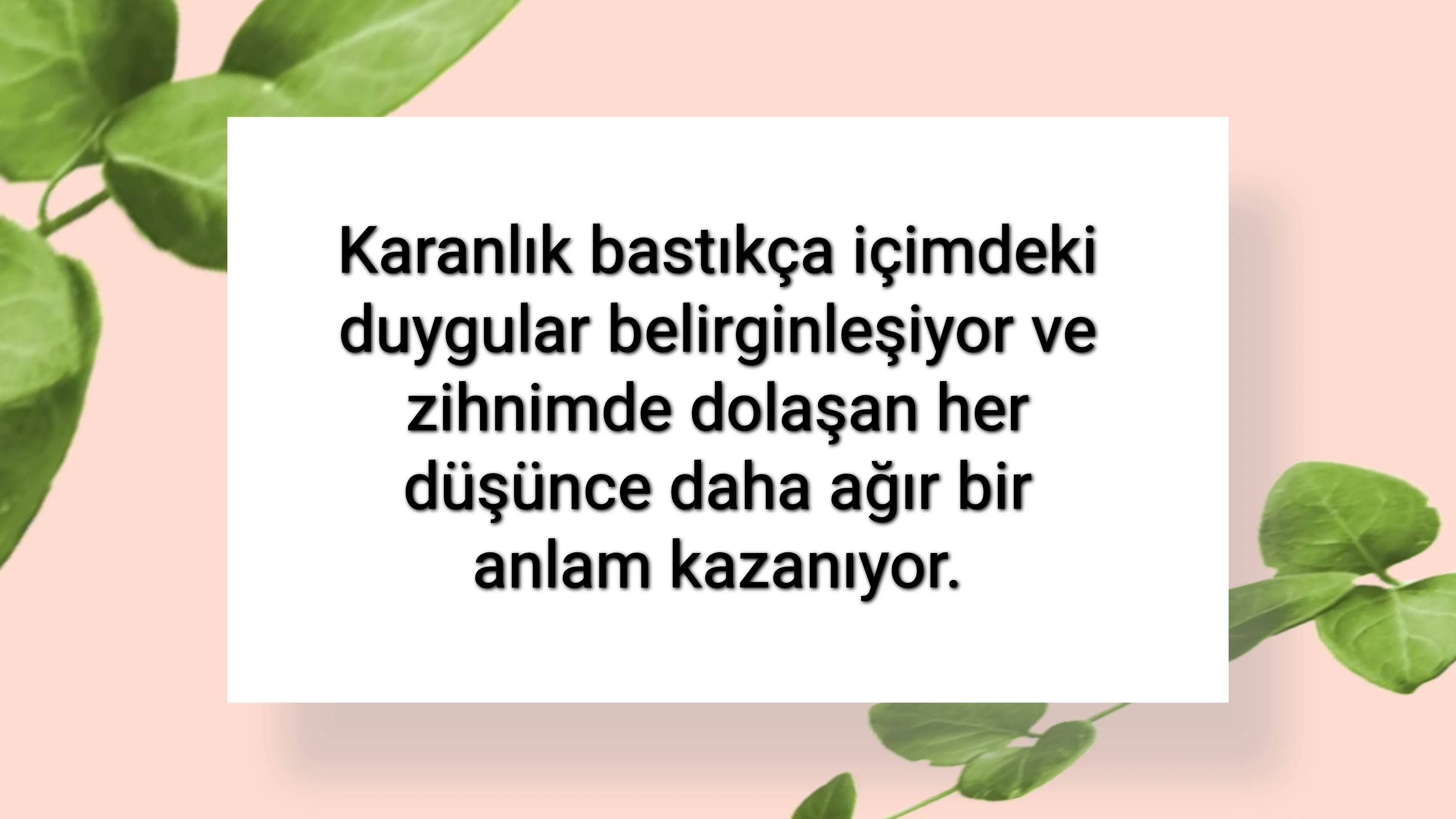 tunanova, sözsepeti,en güzel sözler,aşkım, bitanem, canım, dünyam, efulim, fısftığım, gülüm, hayatım, herşeyim, ilkim, iyikim, kalbim, limanım, meleğim, nartanem, ömrüm, papatyam, sevdiceğim, sevdam, tutkum, ülkem, memleketim, yuvam,yavrum , zümrüdüm, sana aşığım, iyiki varsın, iyiki benimsin seni seviyorum, aşk sözleri, aşk resmi, romantik sevgi mesajı, çiftler için duygusal anlamlı uzun güzel sözler görseli