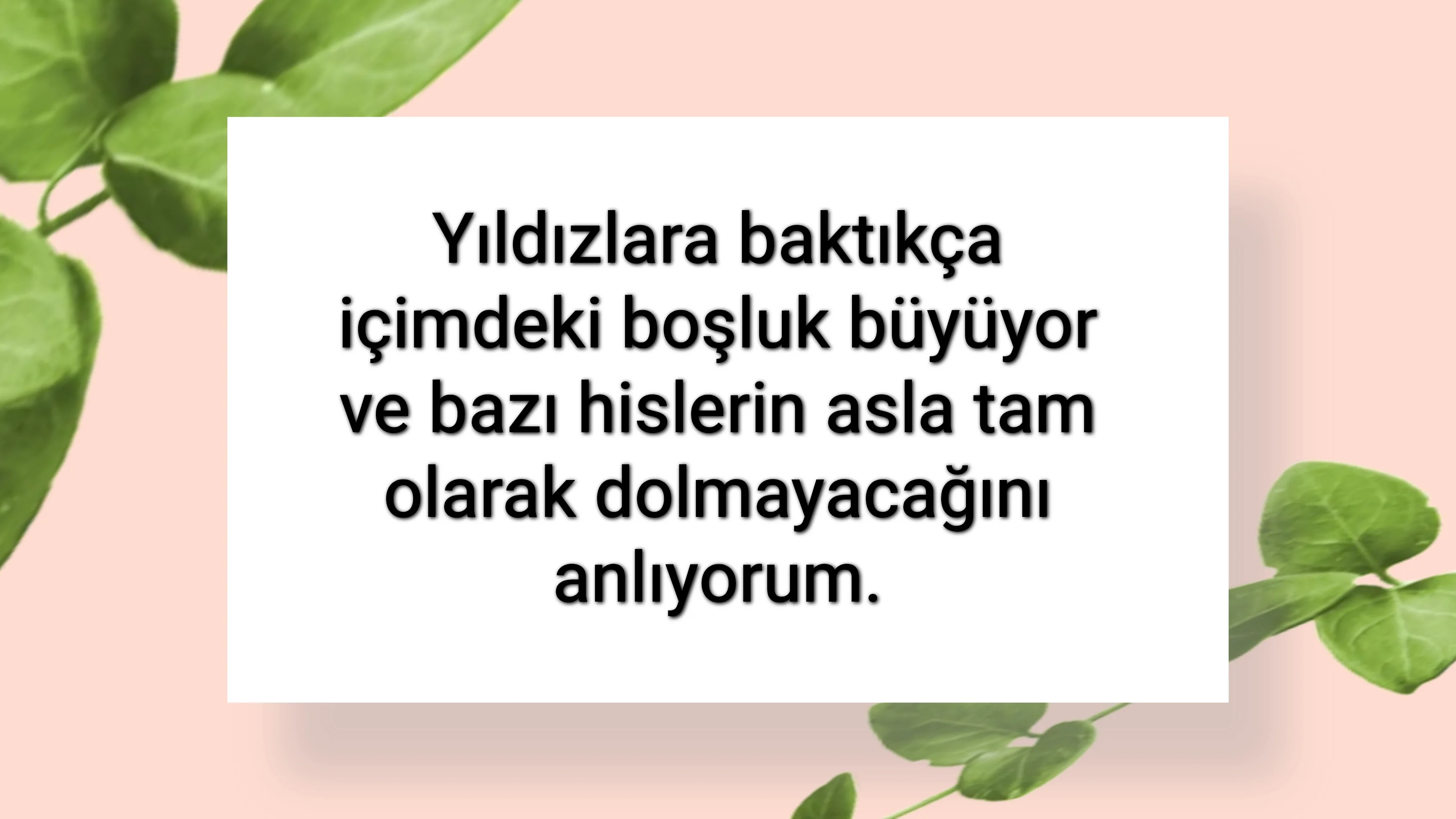 tunanova, sözsepeti,en güzel sözler,aşkım, bitanem, canım, dünyam, efulim, fısftığım, gülüm, hayatım, herşeyim, ilkim, iyikim, kalbim, limanım, meleğim, nartanem, ömrüm, papatyam, sevdiceğim, sevdam, tutkum, ülkem, memleketim, yuvam,yavrum , zümrüdüm, sana aşığım, iyiki varsın, iyiki benimsin seni seviyorum, aşk sözleri, aşk resmi, romantik sevgi mesajı, çiftler için duygusal anlamlı uzun güzel sözler görseli