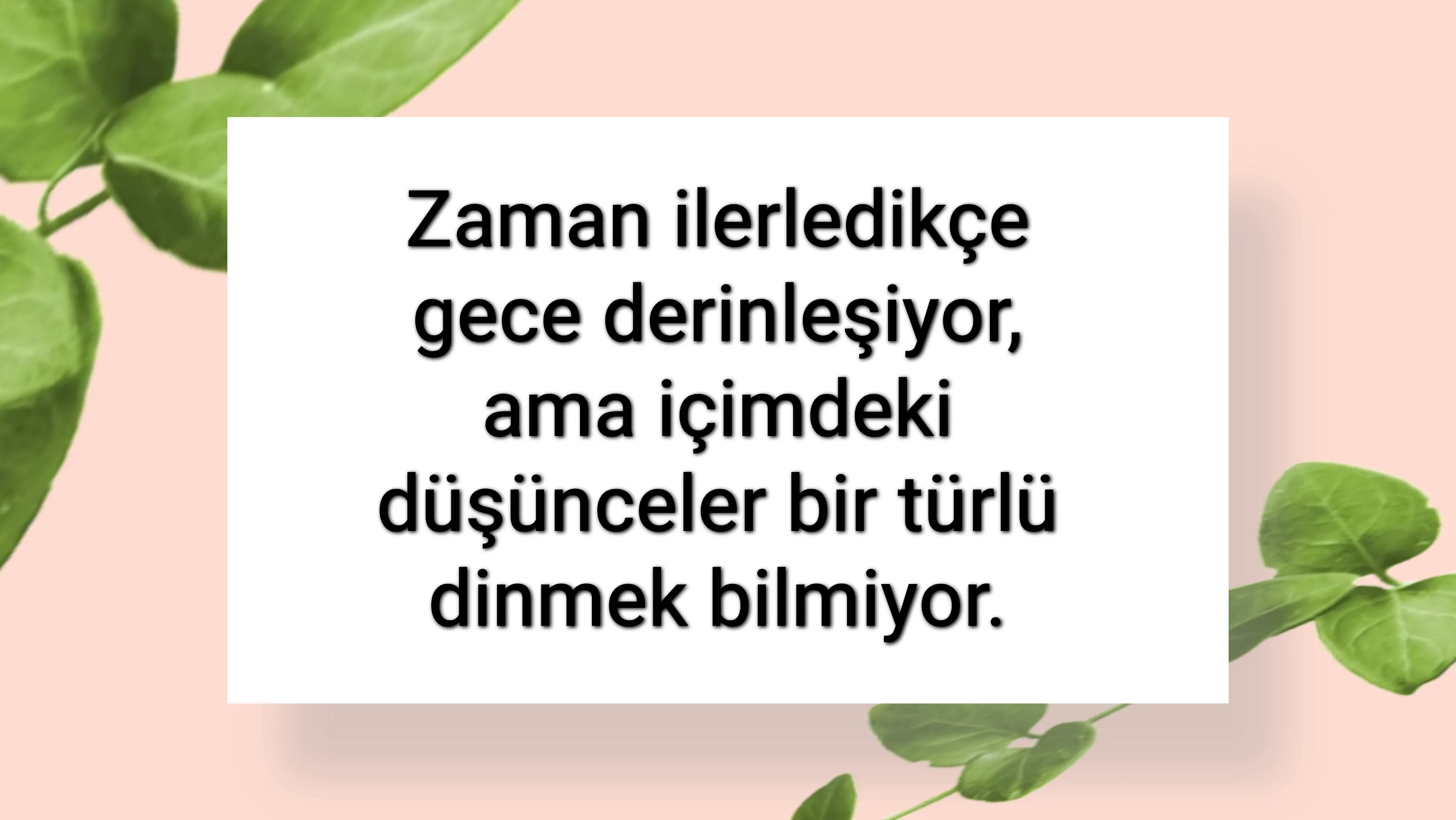 tunanova, sözsepeti,en güzel sözler,aşkım, bitanem, canım, dünyam, efulim, fısftığım, gülüm, hayatım, herşeyim, ilkim, iyikim, kalbim, limanım, meleğim, nartanem, ömrüm, papatyam, sevdiceğim, sevdam, tutkum, ülkem, memleketim, yuvam,yavrum , zümrüdüm, sana aşığım, iyiki varsın, iyiki benimsin seni seviyorum, aşk sözleri, aşk resmi, romantik sevgi mesajı, çiftler için duygusal anlamlı uzun güzel sözler görseli