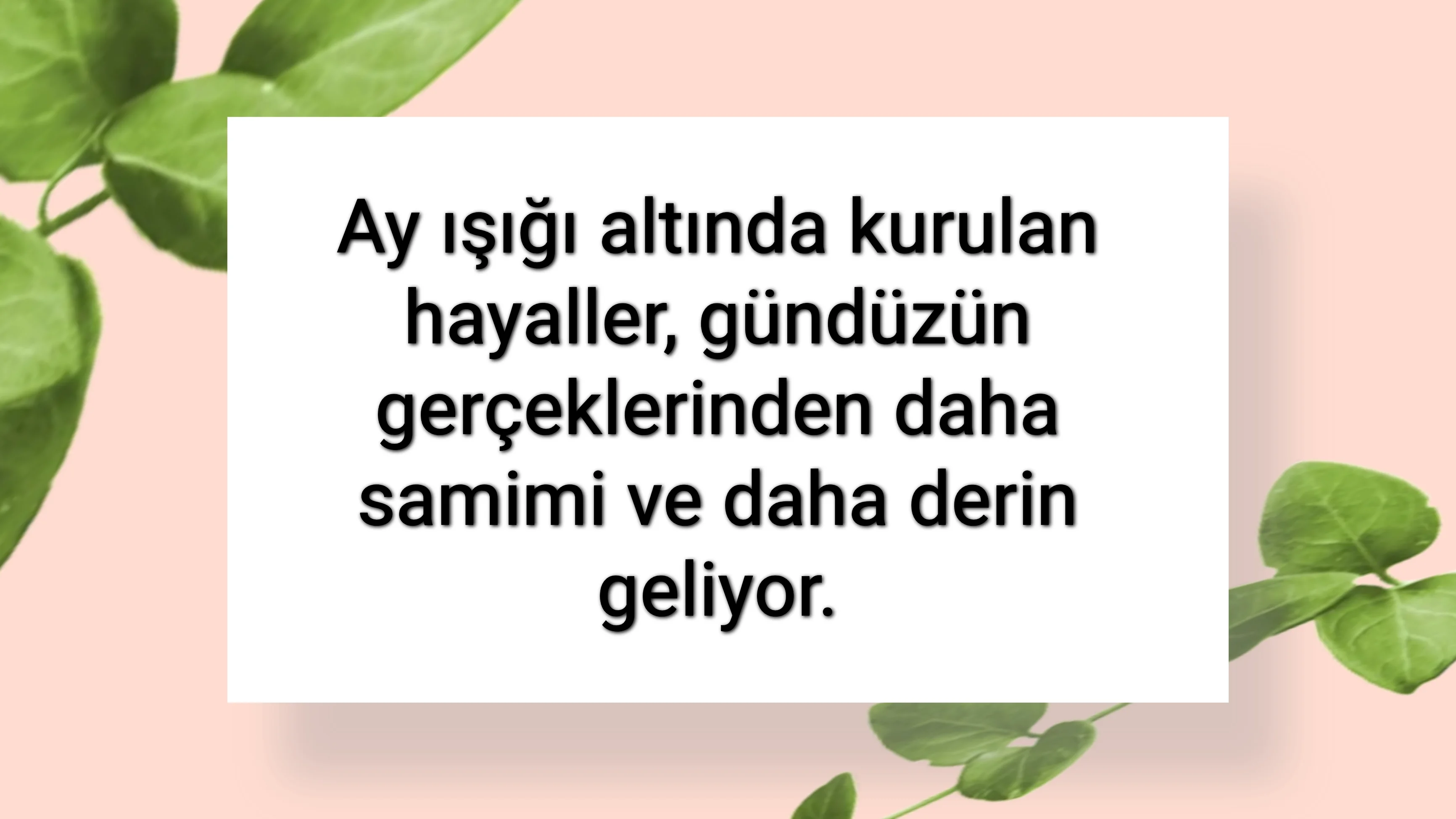 tunanova, sözsepeti,en güzel sözler,aşkım, bitanem, canım, dünyam, efulim, fısftığım, gülüm, hayatım, herşeyim, ilkim, iyikim, kalbim, limanım, meleğim, nartanem, ömrüm, papatyam, sevdiceğim, sevdam, tutkum, ülkem, memleketim, yuvam,yavrum , zümrüdüm, sana aşığım, iyiki varsın, iyiki benimsin seni seviyorum, aşk sözleri, aşk resmi, romantik sevgi mesajı, çiftler için duygusal anlamlı uzun güzel sözler görseli