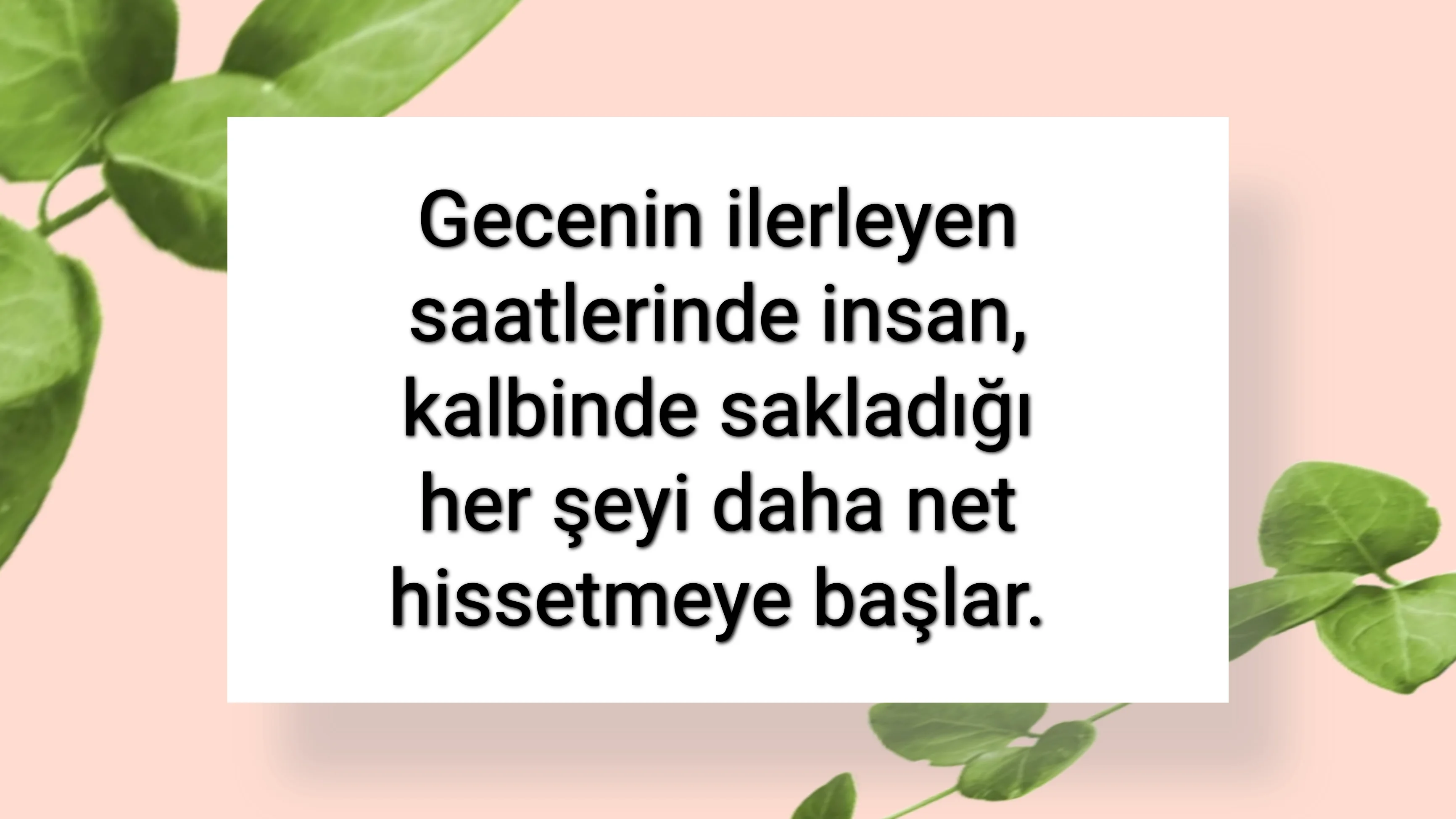 tunanova, sözsepeti,en güzel sözler,aşkım, bitanem, canım, dünyam, efulim, fısftığım, gülüm, hayatım, herşeyim, ilkim, iyikim, kalbim, limanım, meleğim, nartanem, ömrüm, papatyam, sevdiceğim, sevdam, tutkum, ülkem, memleketim, yuvam,yavrum , zümrüdüm, sana aşığım, iyiki varsın, iyiki benimsin seni seviyorum, aşk sözleri, aşk resmi, romantik sevgi mesajı, çiftler için duygusal anlamlı uzun güzel sözler görseli