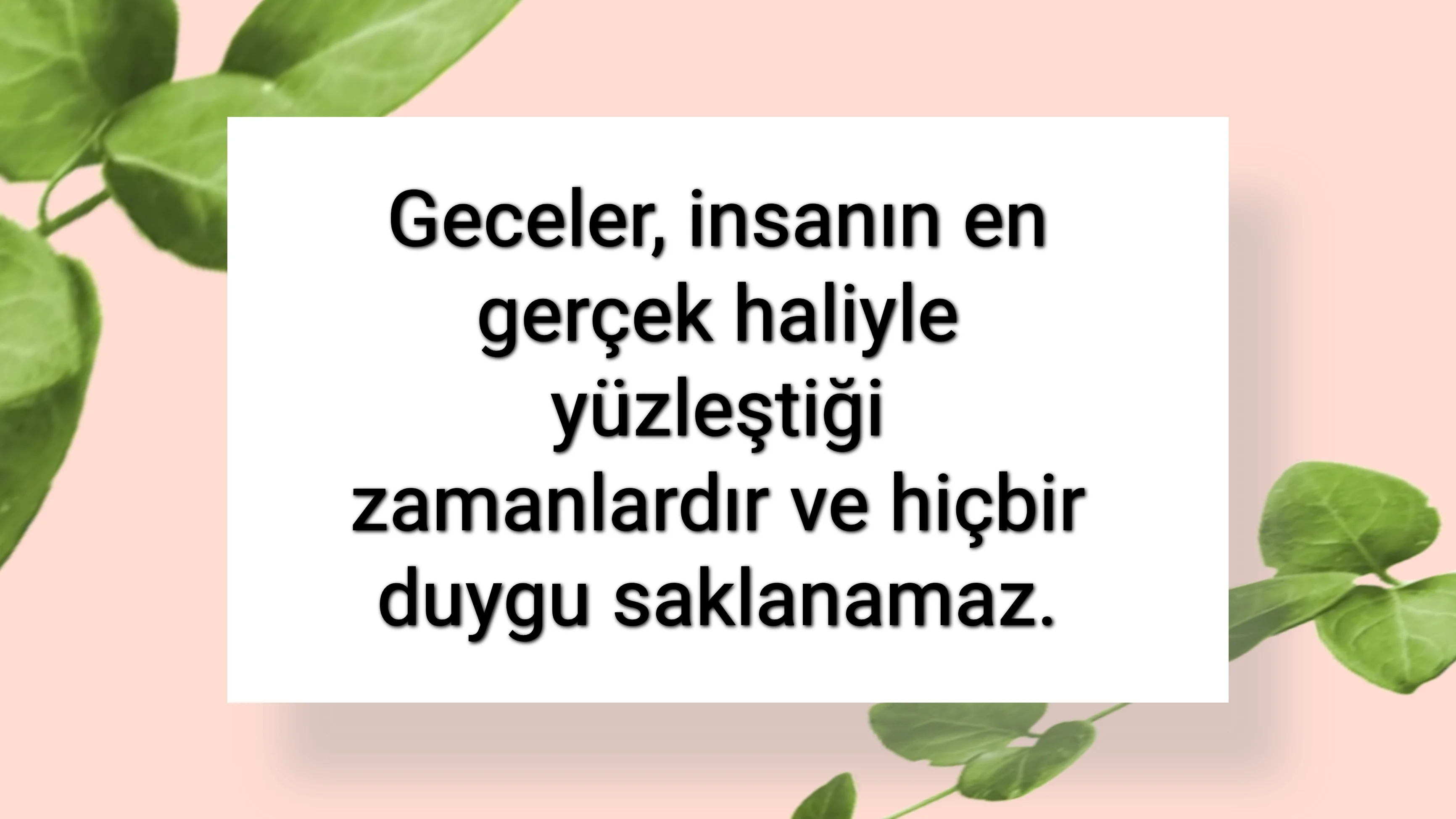 tunanova, sözsepeti,en güzel sözler,aşkım, bitanem, canım, dünyam, efulim, fısftığım, gülüm, hayatım, herşeyim, ilkim, iyikim, kalbim, limanım, meleğim, nartanem, ömrüm, papatyam, sevdiceğim, sevdam, tutkum, ülkem, memleketim, yuvam,yavrum , zümrüdüm, sana aşığım, iyiki varsın, iyiki benimsin seni seviyorum, aşk sözleri, aşk resmi, romantik sevgi mesajı, çiftler için duygusal anlamlı uzun güzel sözler görseli
