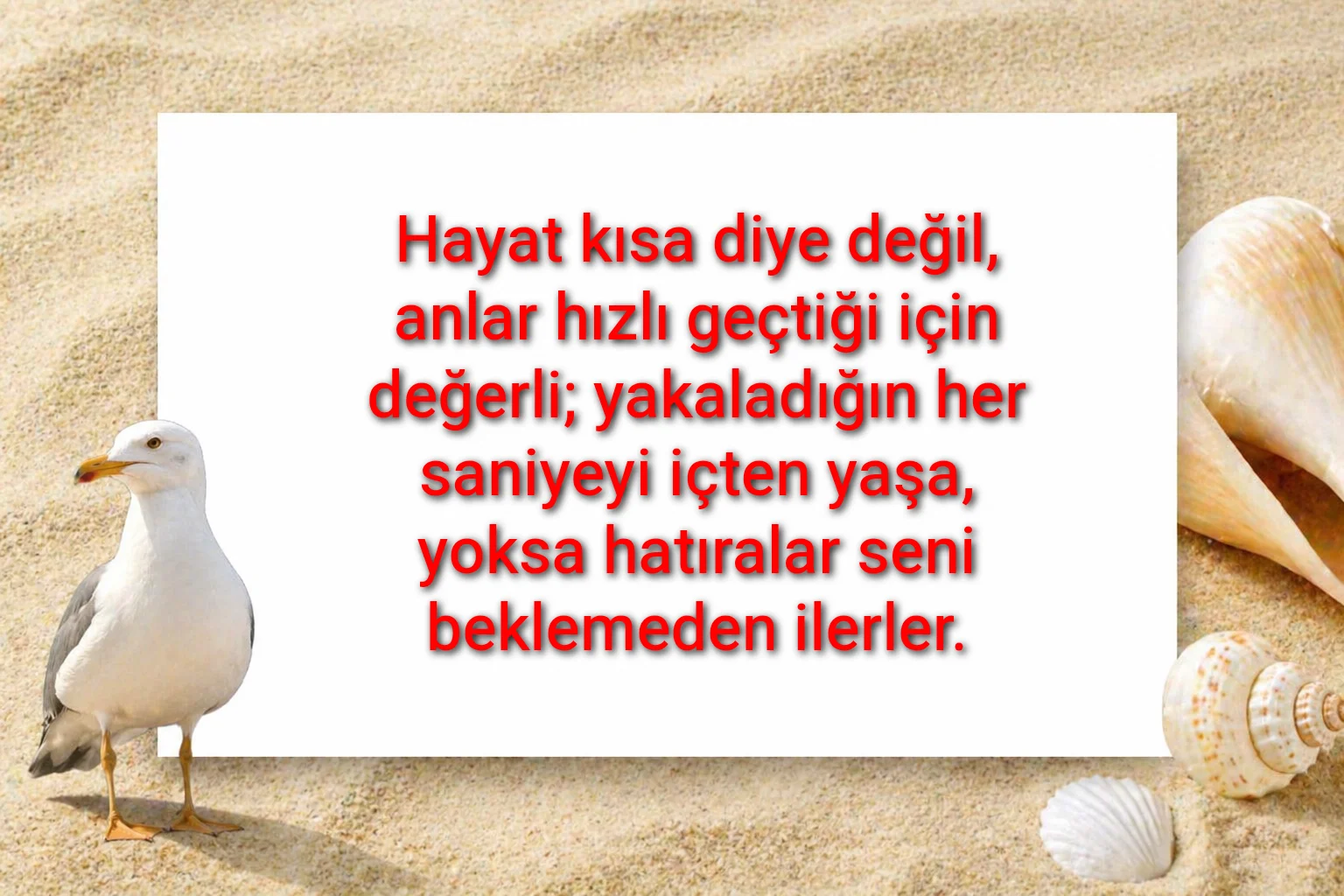 tunanova, sözsepeti,en güzel sözler,aşkım, bitanem, canım, dünyam, efulim, fısftığım, gülüm, hayatım, herşeyim, ilkim, iyikim, kalbim, limanım, meleğim, nartanem, ömrüm, papatyam, sevdiceğim, sevdam, tutkum, ülkem, memleketim, yuvam,yavrum , zümrüdüm, sana aşığım, iyiki varsın, iyiki benimsin seni seviyorum, aşk sözleri, aşk resmi, romantik sevgi mesajı, çiftler için duygusal anlamlı uzun güzel sözler görseli