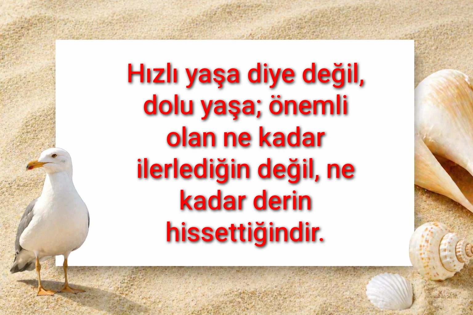 tunanova, sözsepeti,en güzel sözler,aşkım, bitanem, canım, dünyam, efulim, fısftığım, gülüm, hayatım, herşeyim, ilkim, iyikim, kalbim, limanım, meleğim, nartanem, ömrüm, papatyam, sevdiceğim, sevdam, tutkum, ülkem, memleketim, yuvam,yavrum , zümrüdüm, sana aşığım, iyiki varsın, iyiki benimsin seni seviyorum, aşk sözleri, aşk resmi, romantik sevgi mesajı, çiftler için duygusal anlamlı uzun güzel sözler görseli